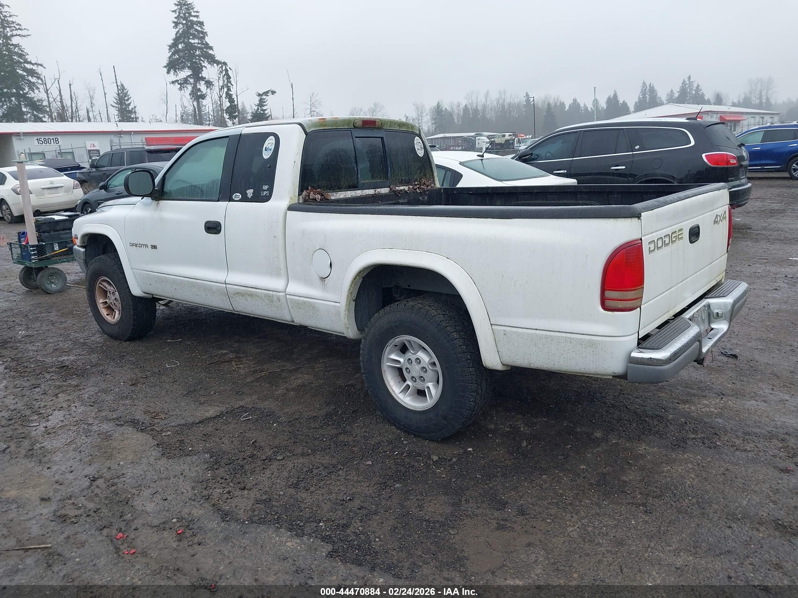 DODGE DAKOTA image 3