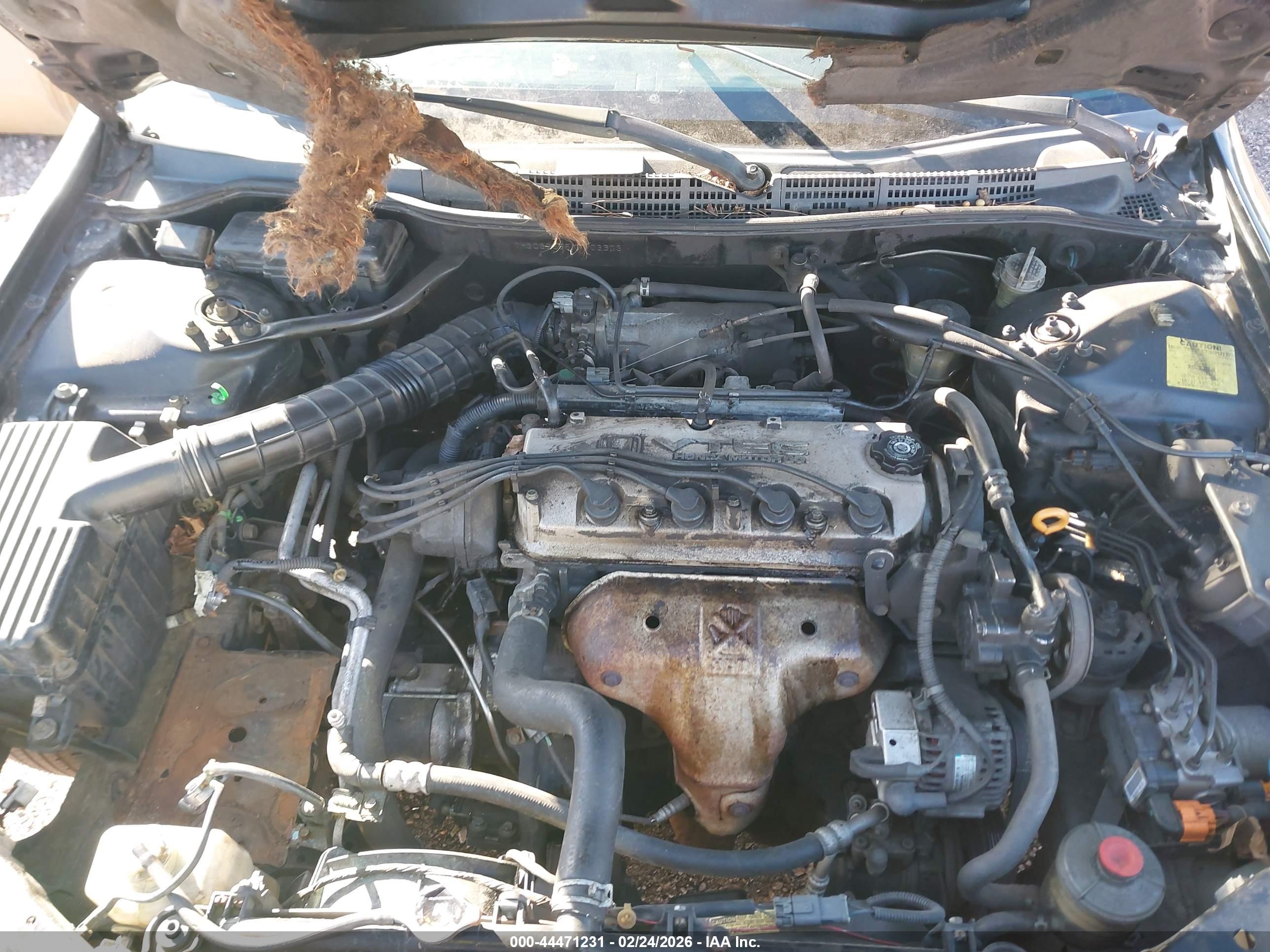 HONDA ACCORD image 10