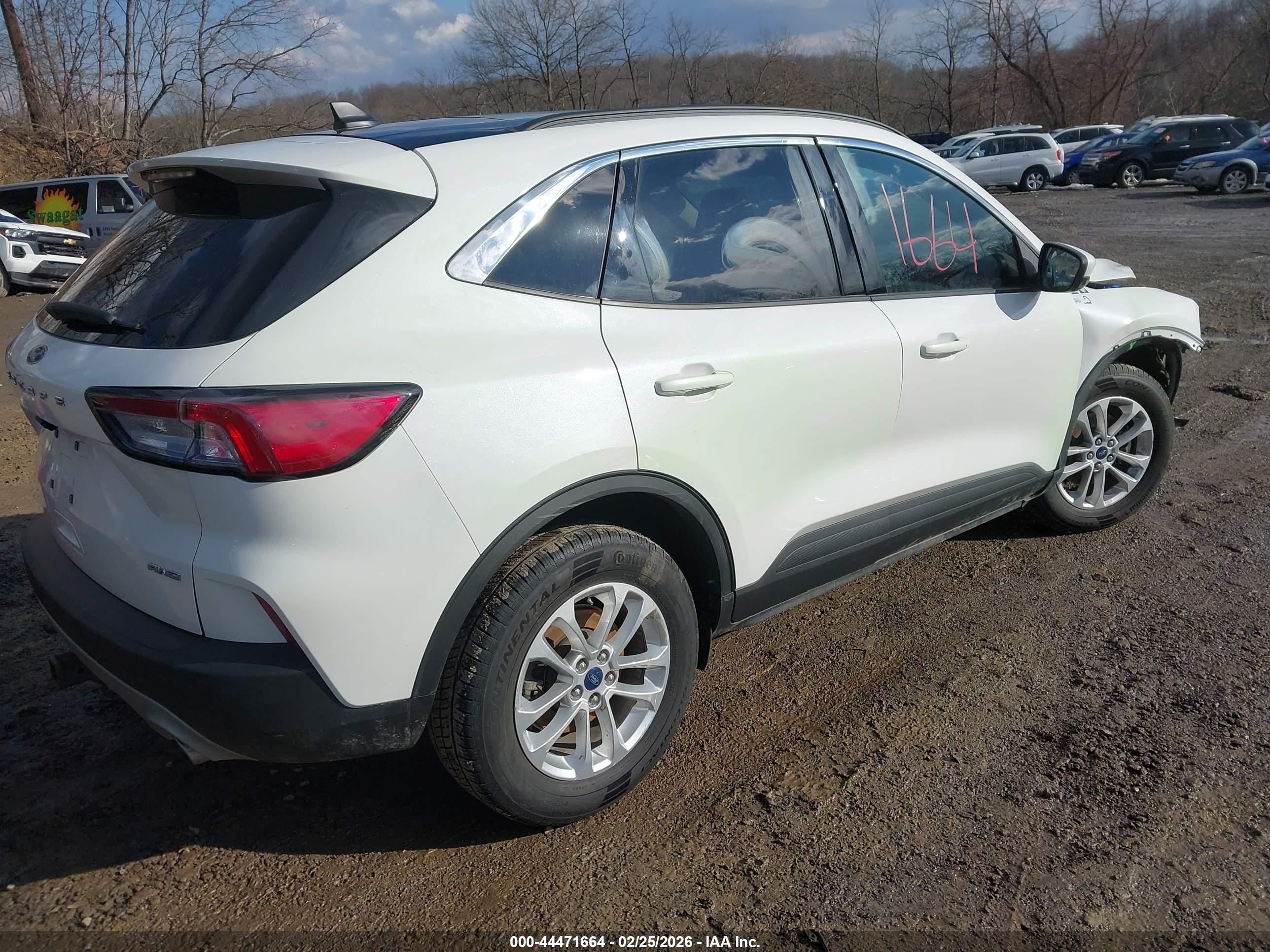FORD ESCAPE image 4