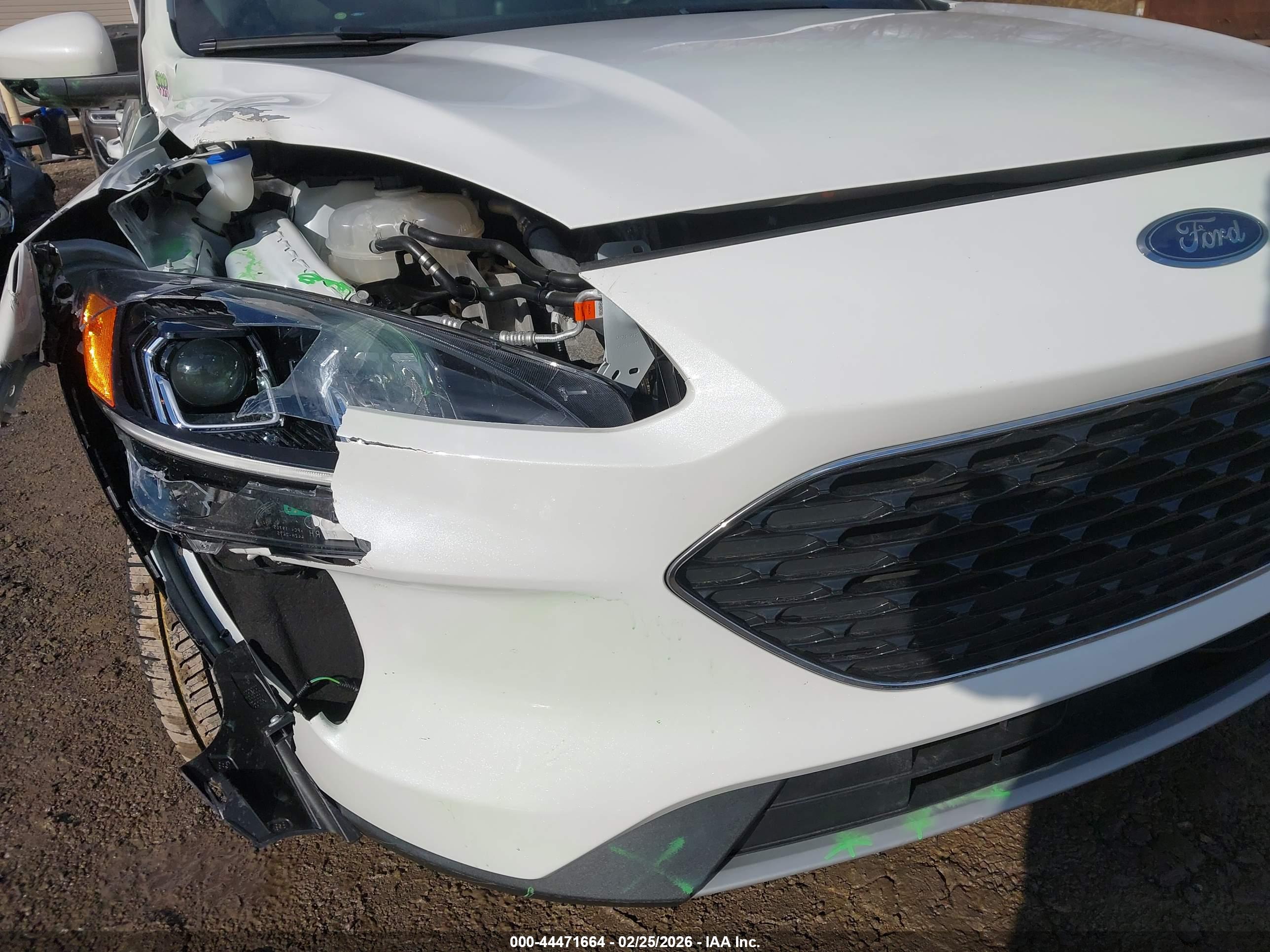 FORD ESCAPE image 6
