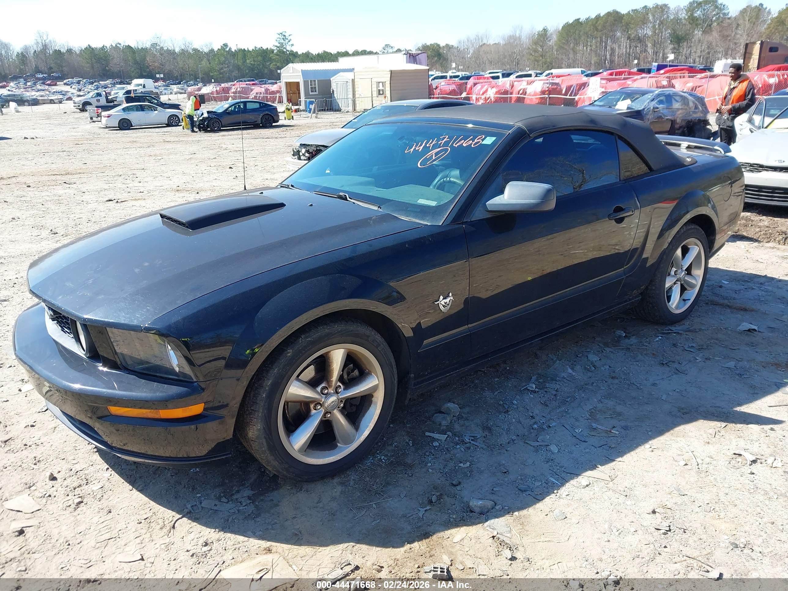 FORD MUSTANG image 2