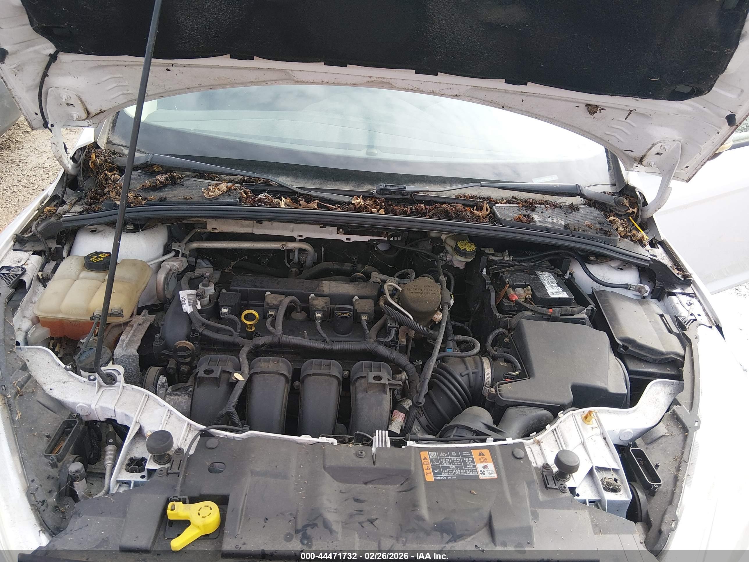 FORD FOCUS image 10