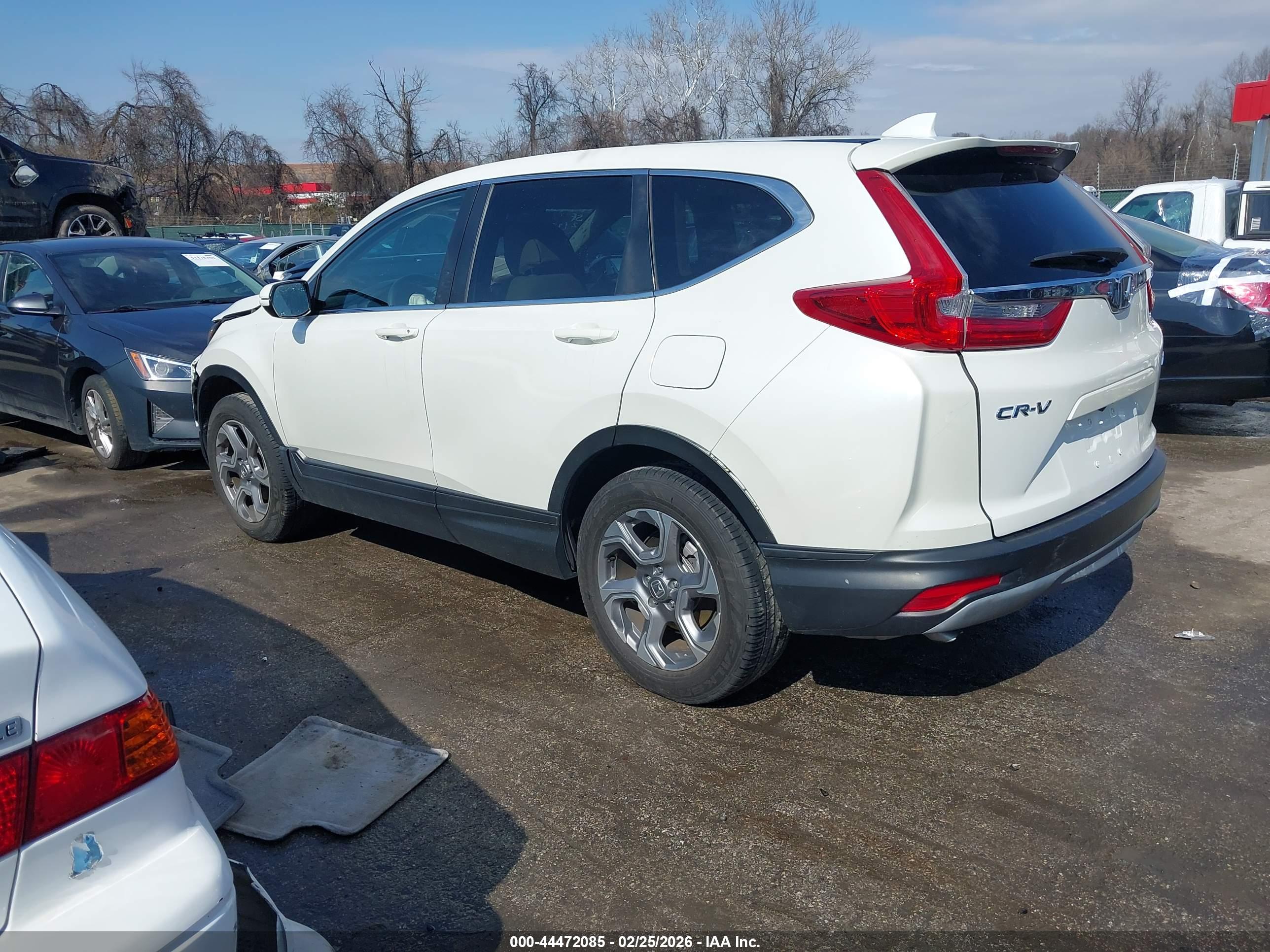 HONDA CR-V image 3