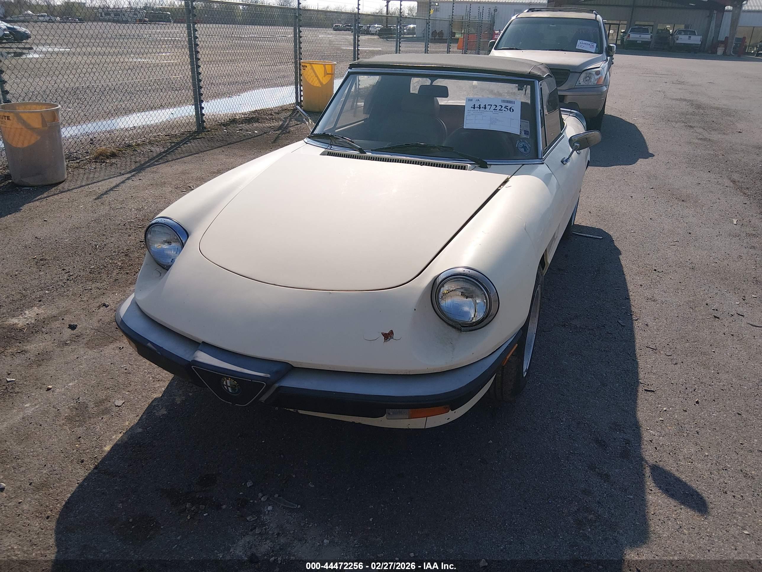 ALFA ROMEO image 2