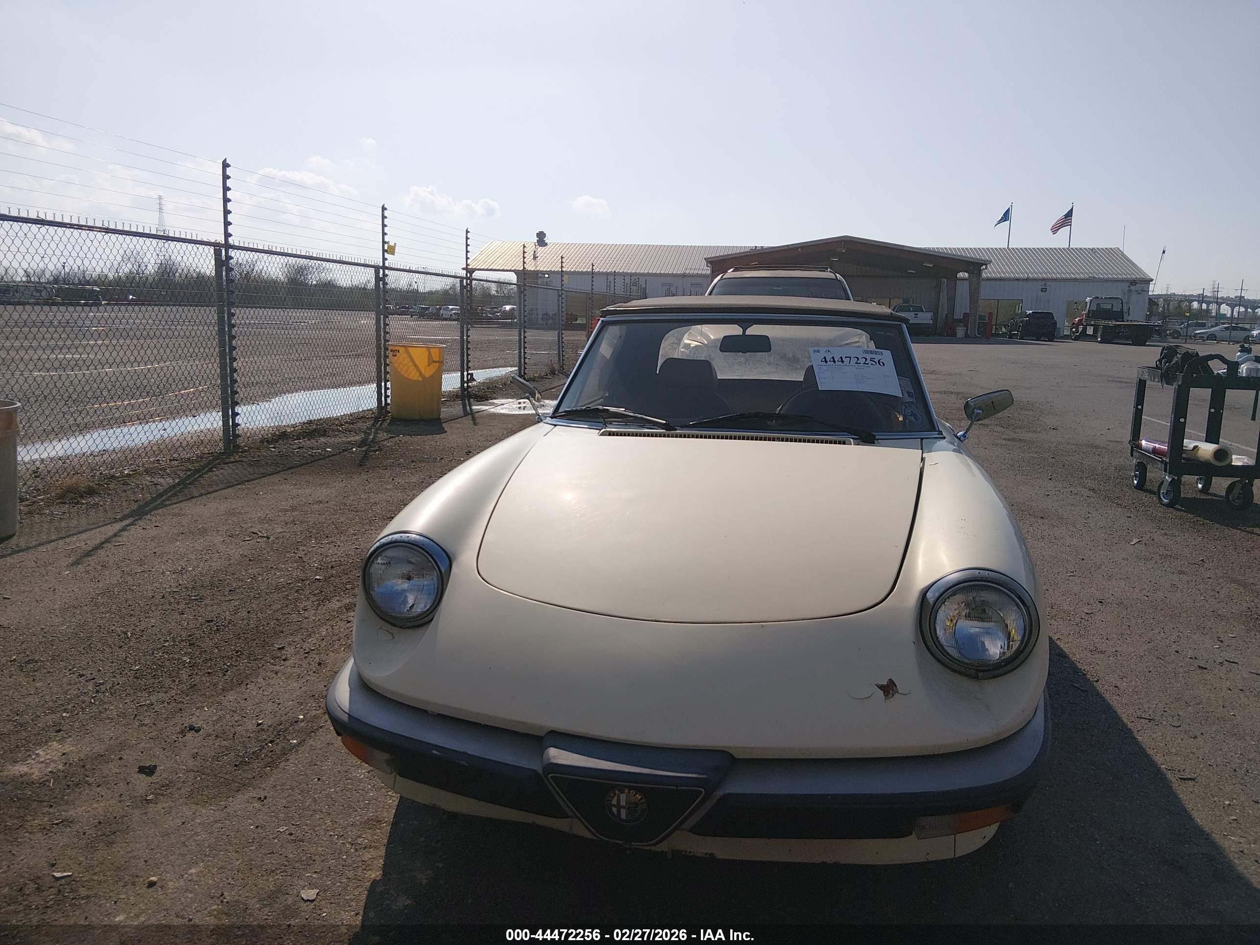 ALFA ROMEO image 6