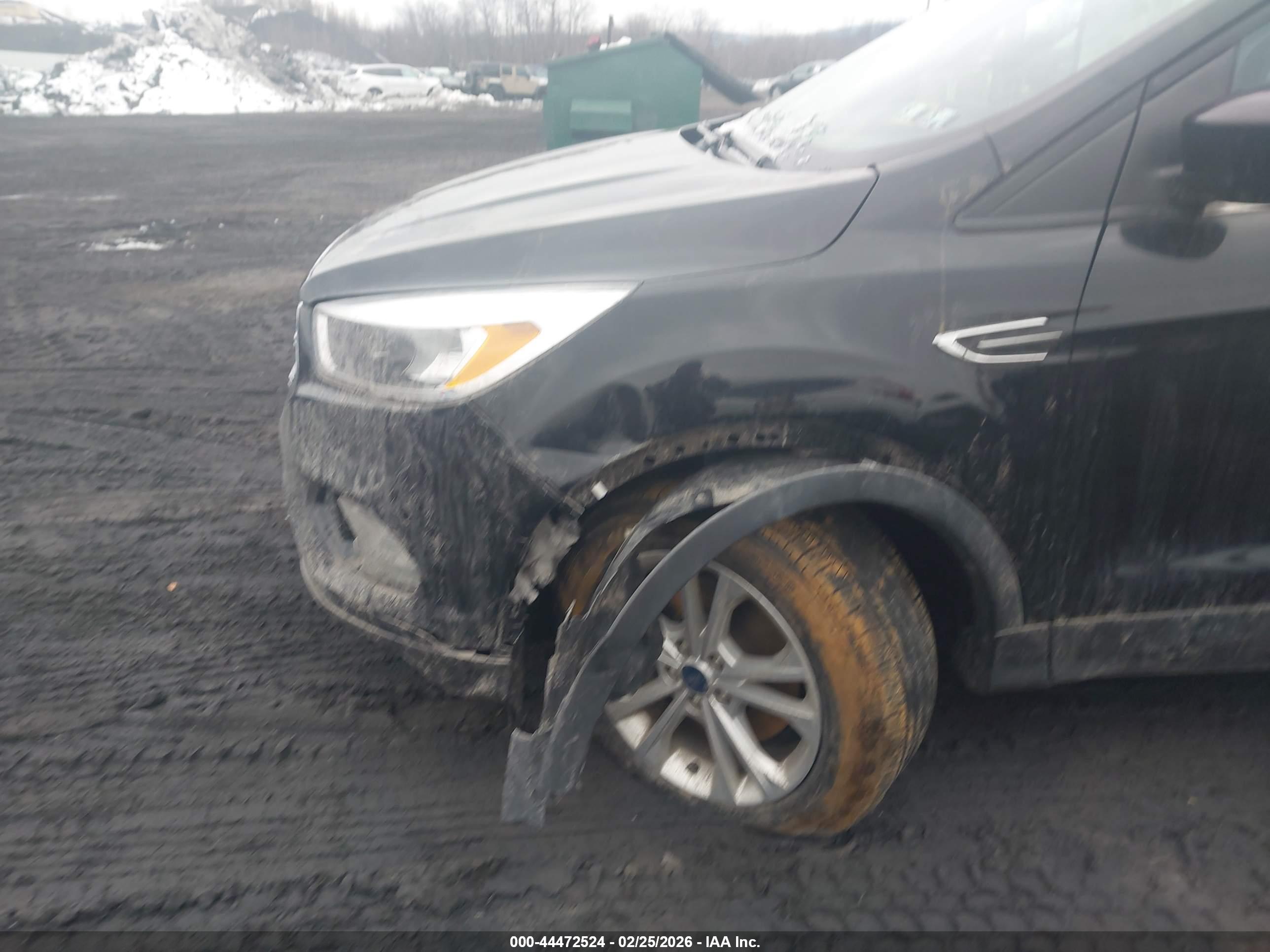 FORD ESCAPE image 6