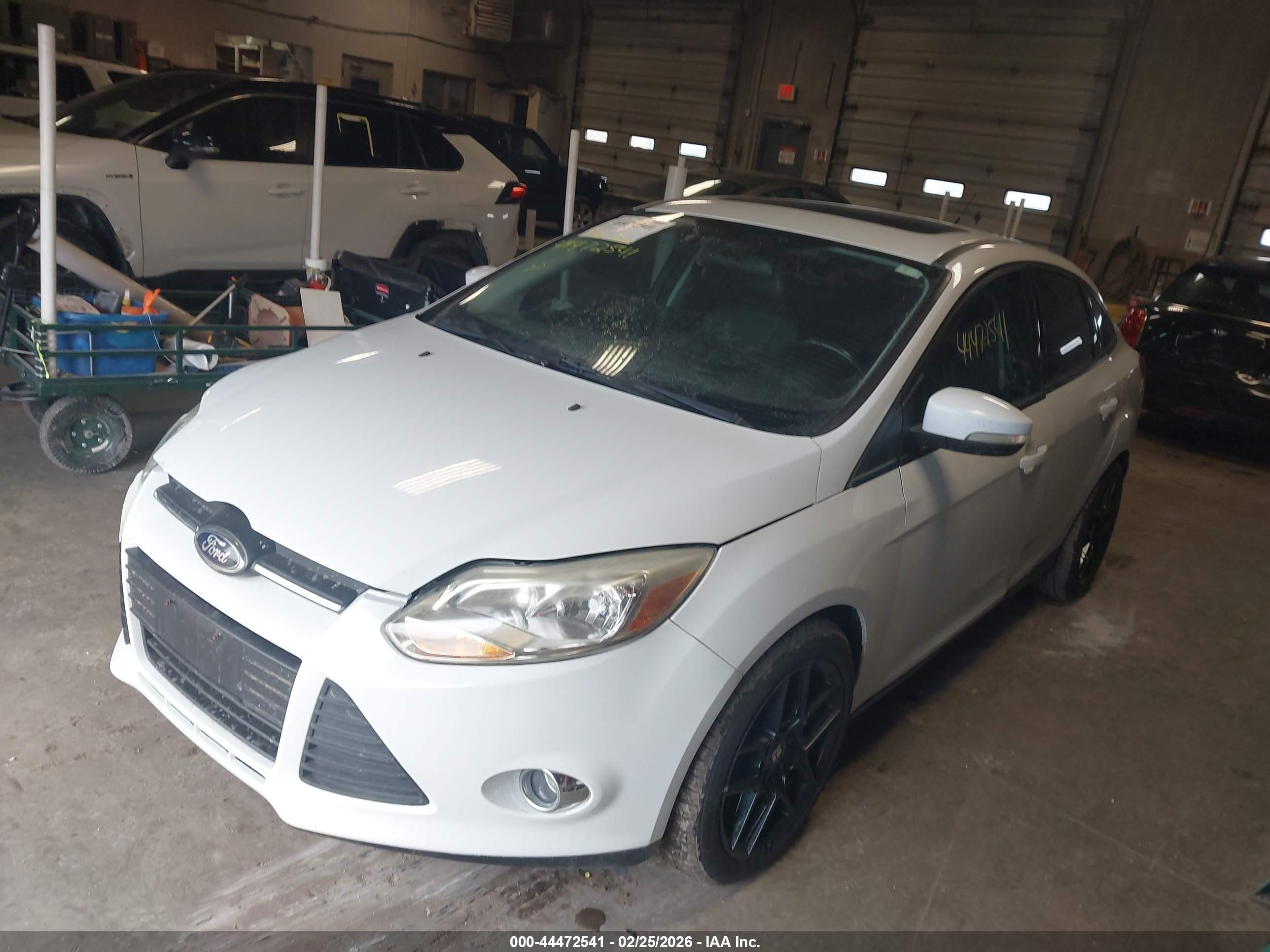 FORD FOCUS image 2