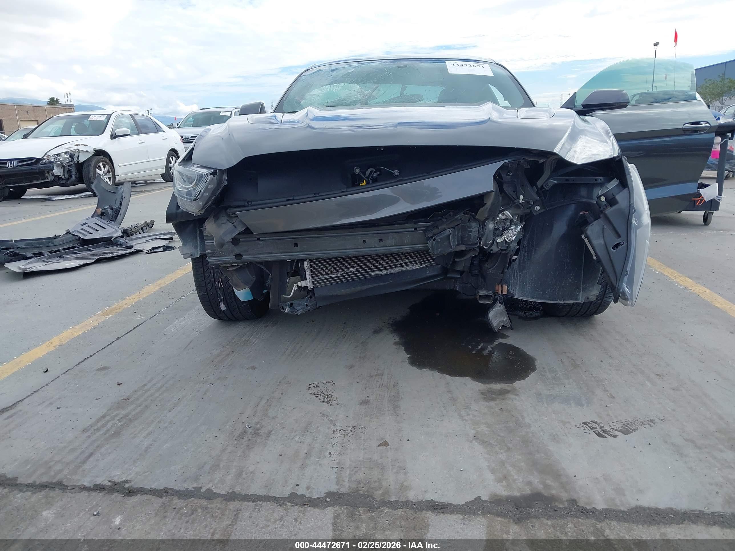 FORD MUSTANG image 6