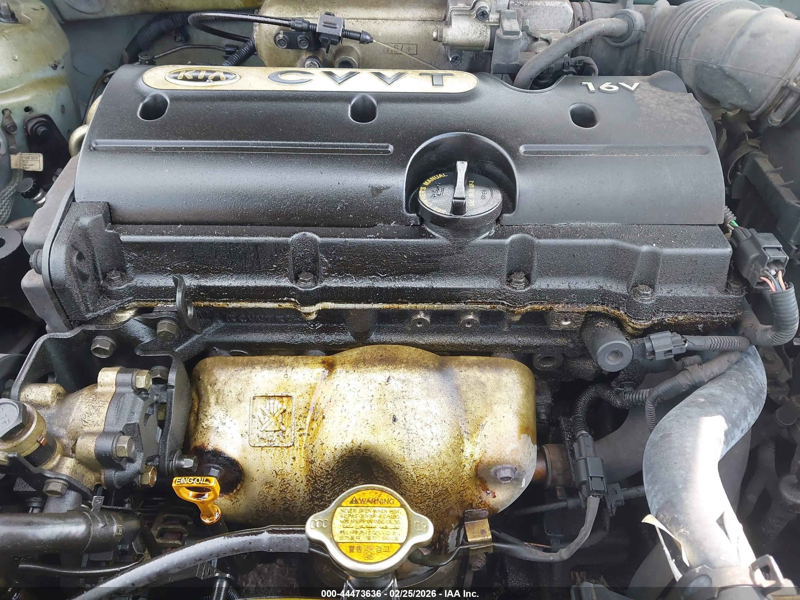 KIA RIO image 6