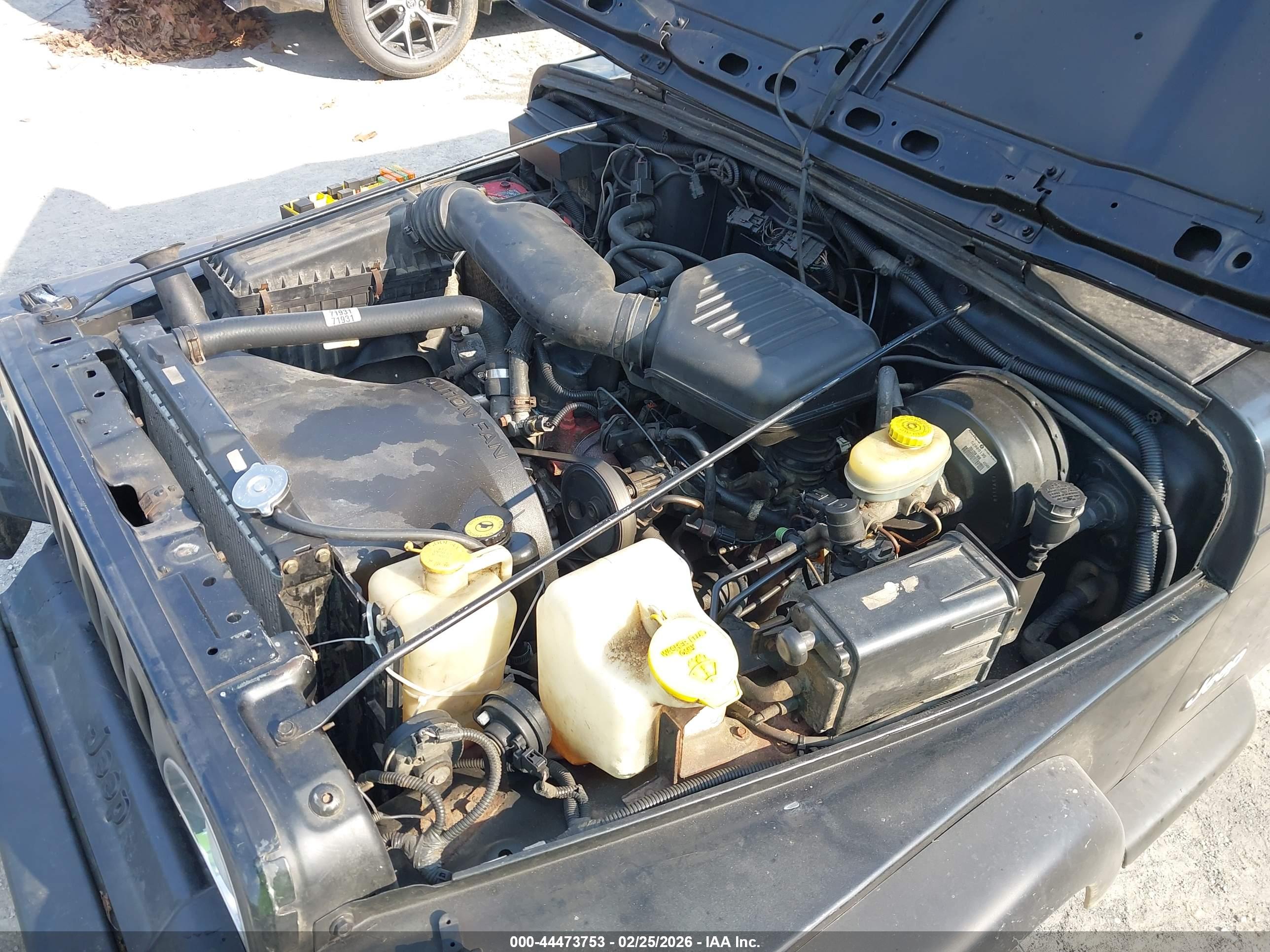 JEEP WRANGLER image 10