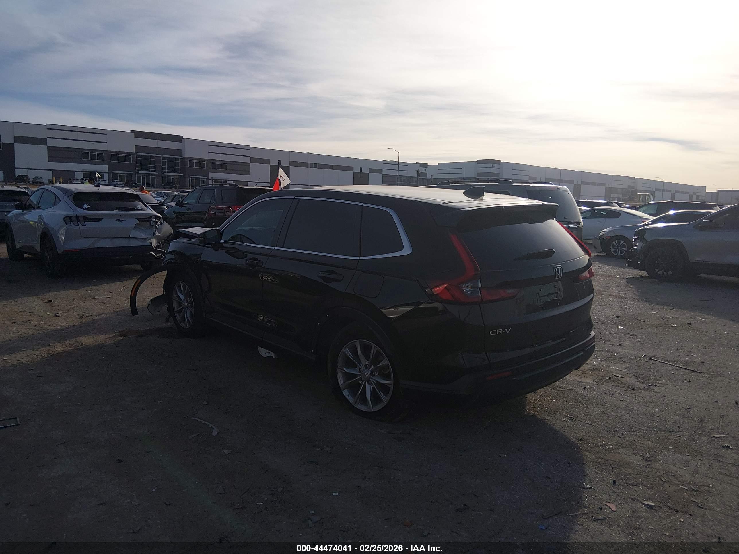 HONDA CR-V image 3