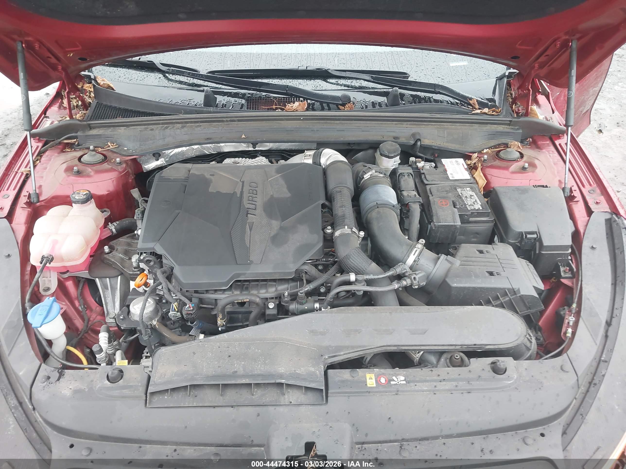 KIA K5 image 10