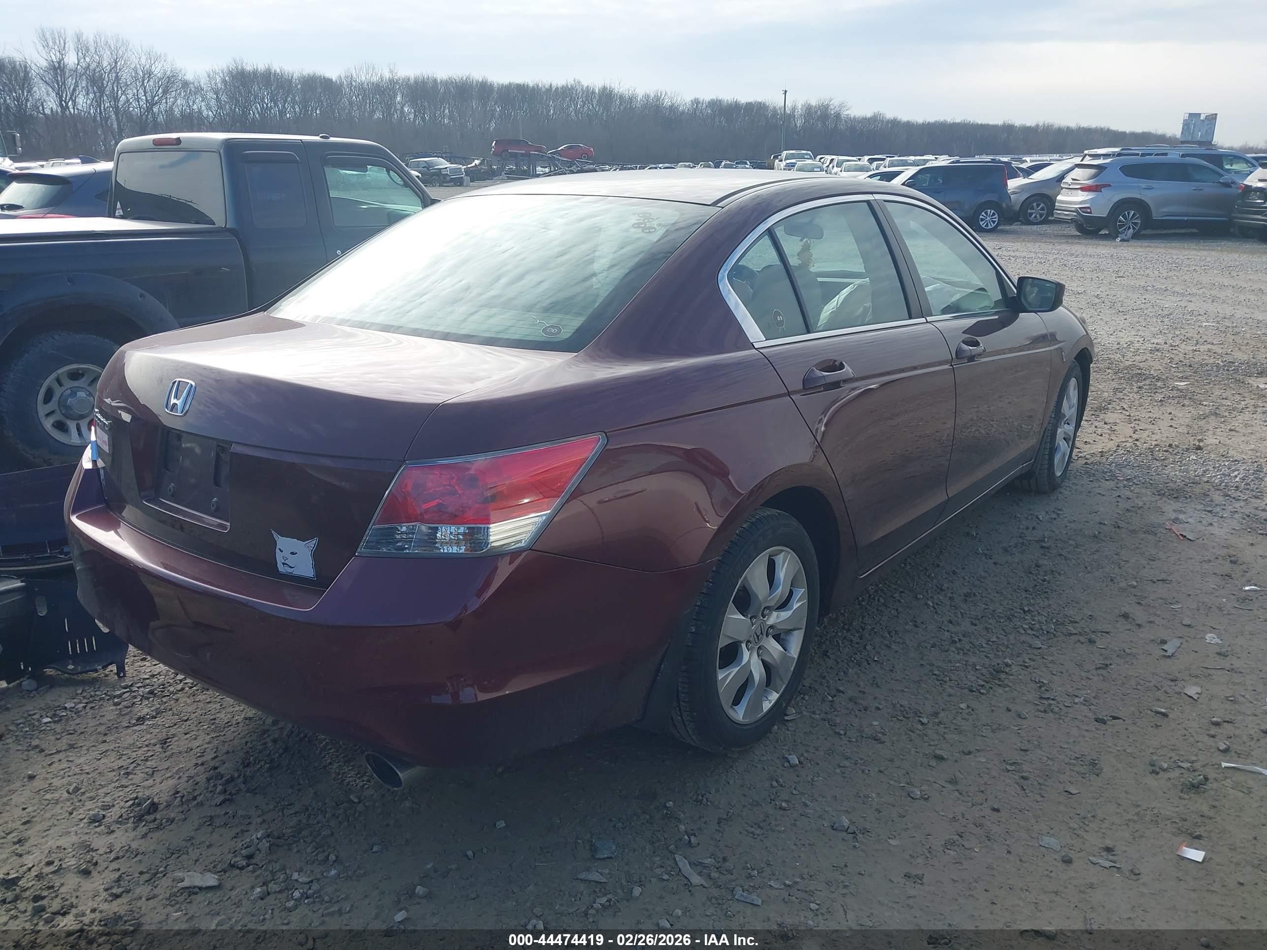 HONDA ACCORD image 4