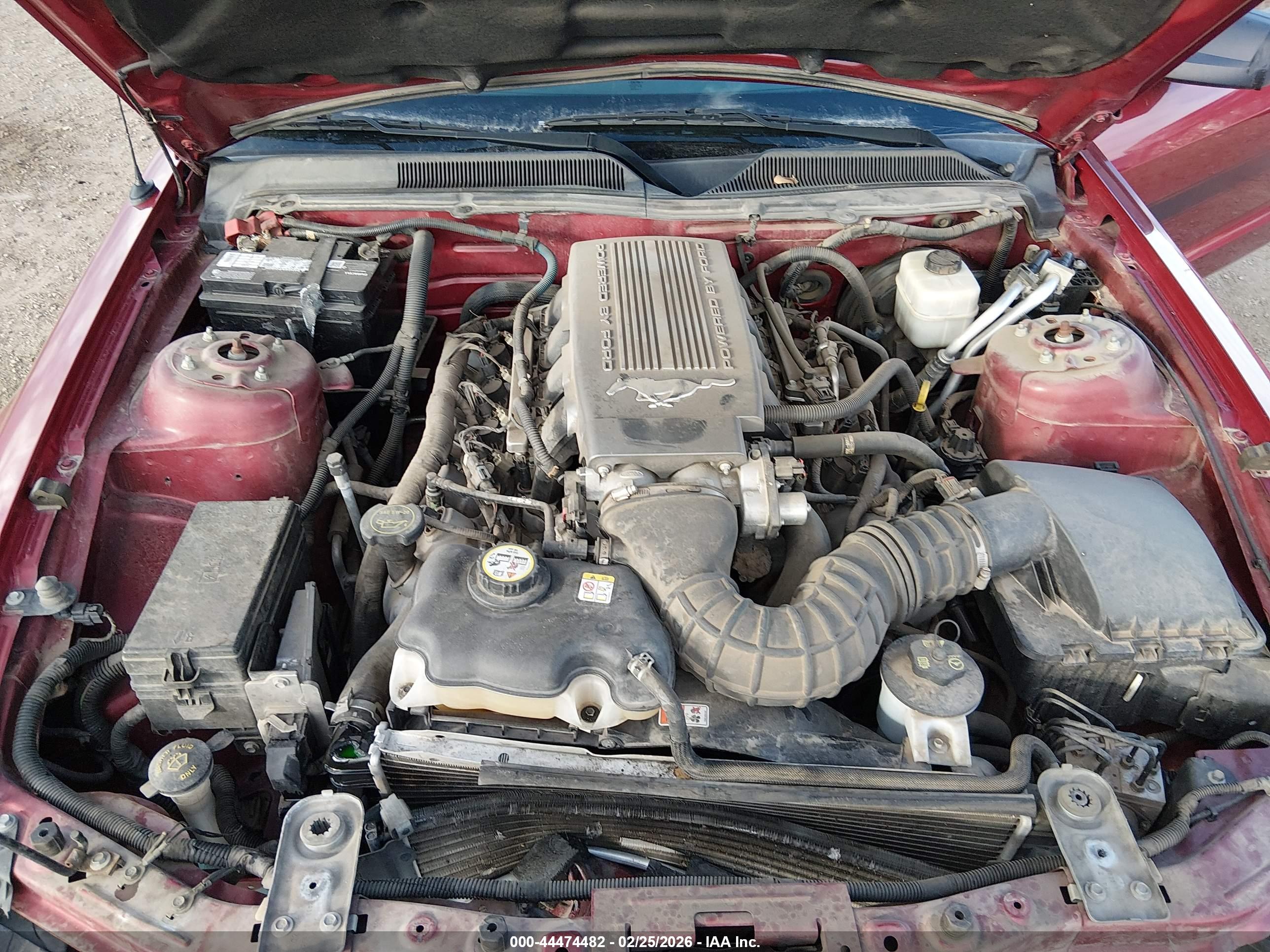 FORD MUSTANG image 10