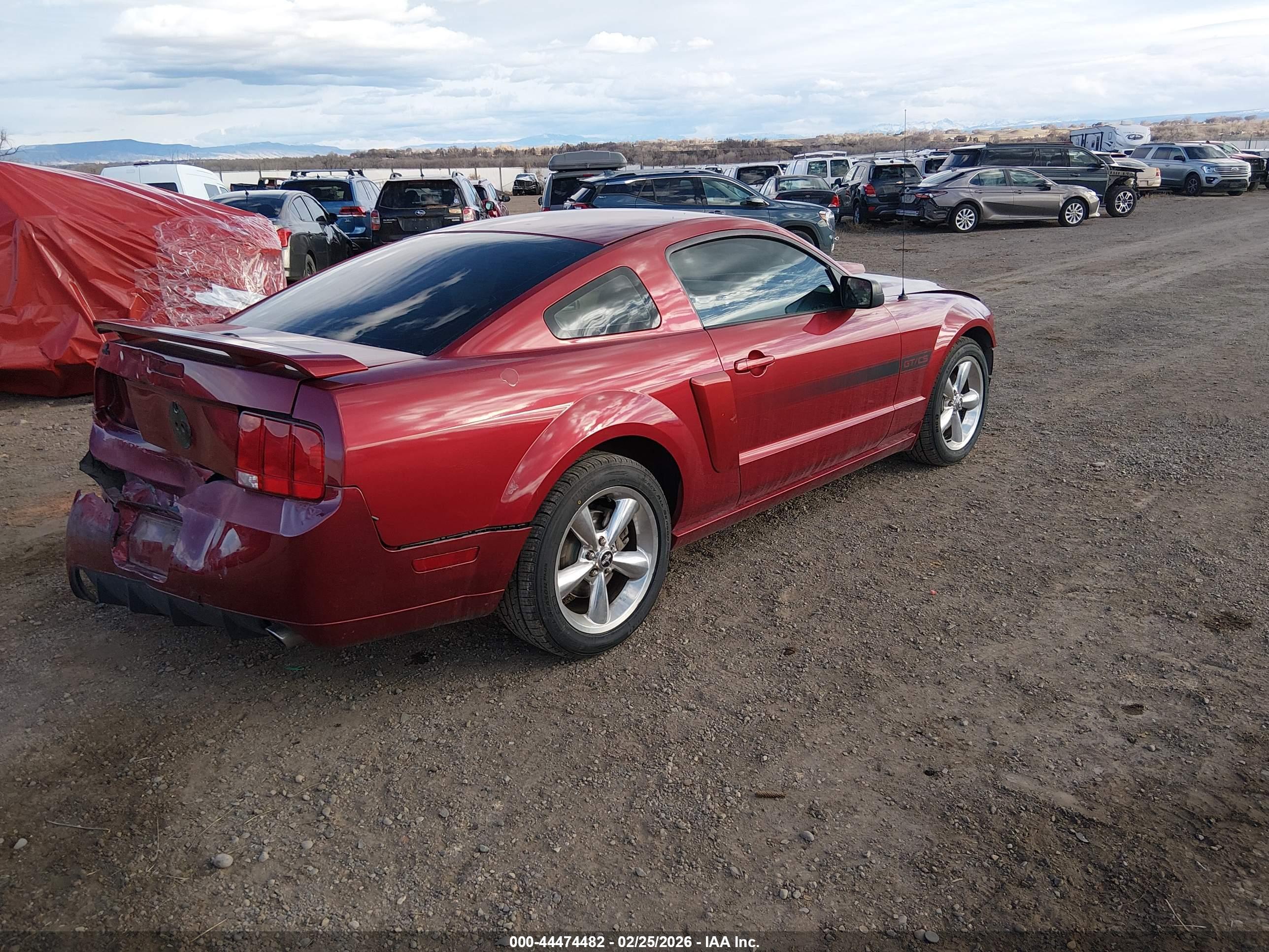 FORD MUSTANG image 4