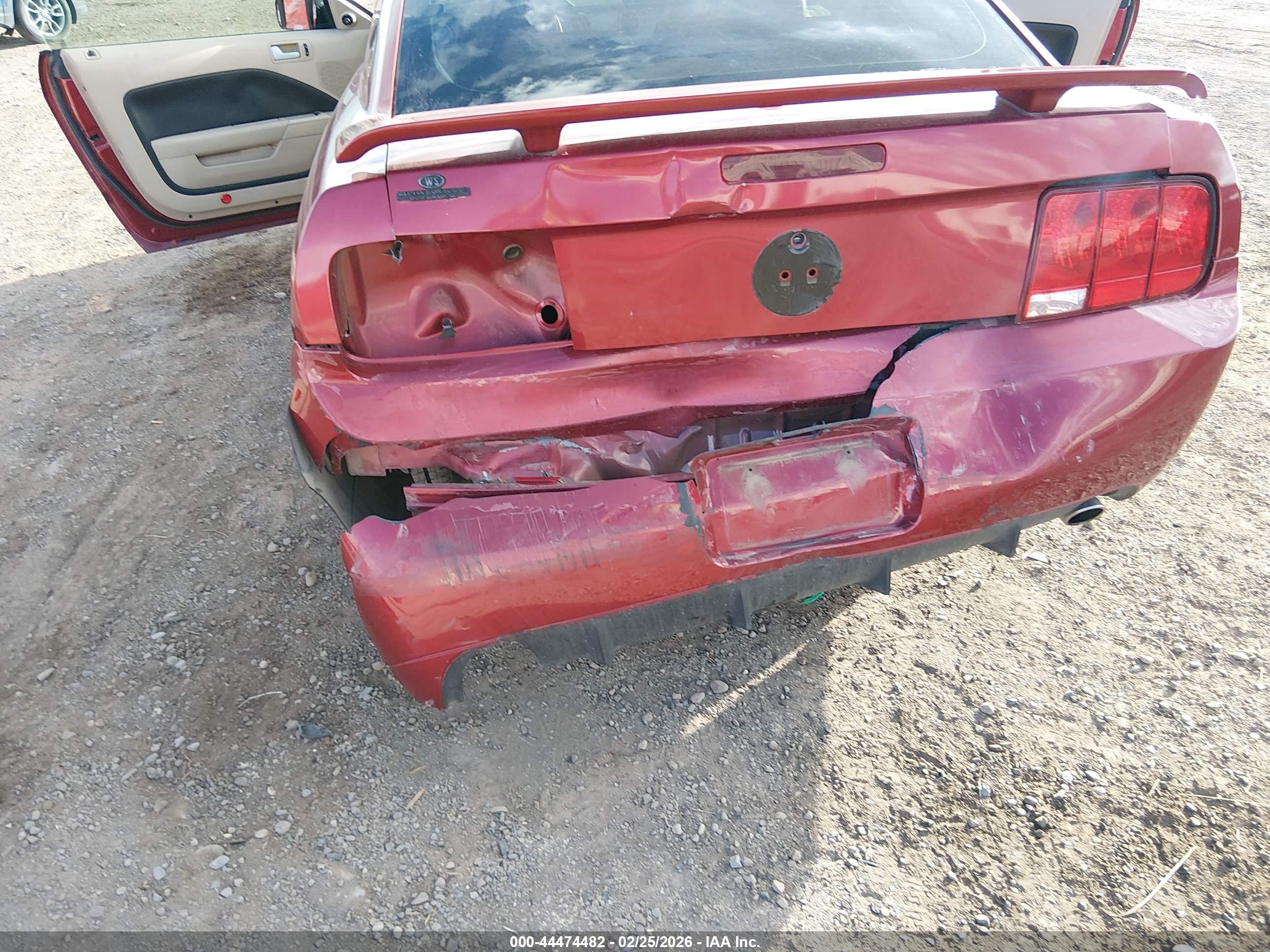 FORD MUSTANG image 6