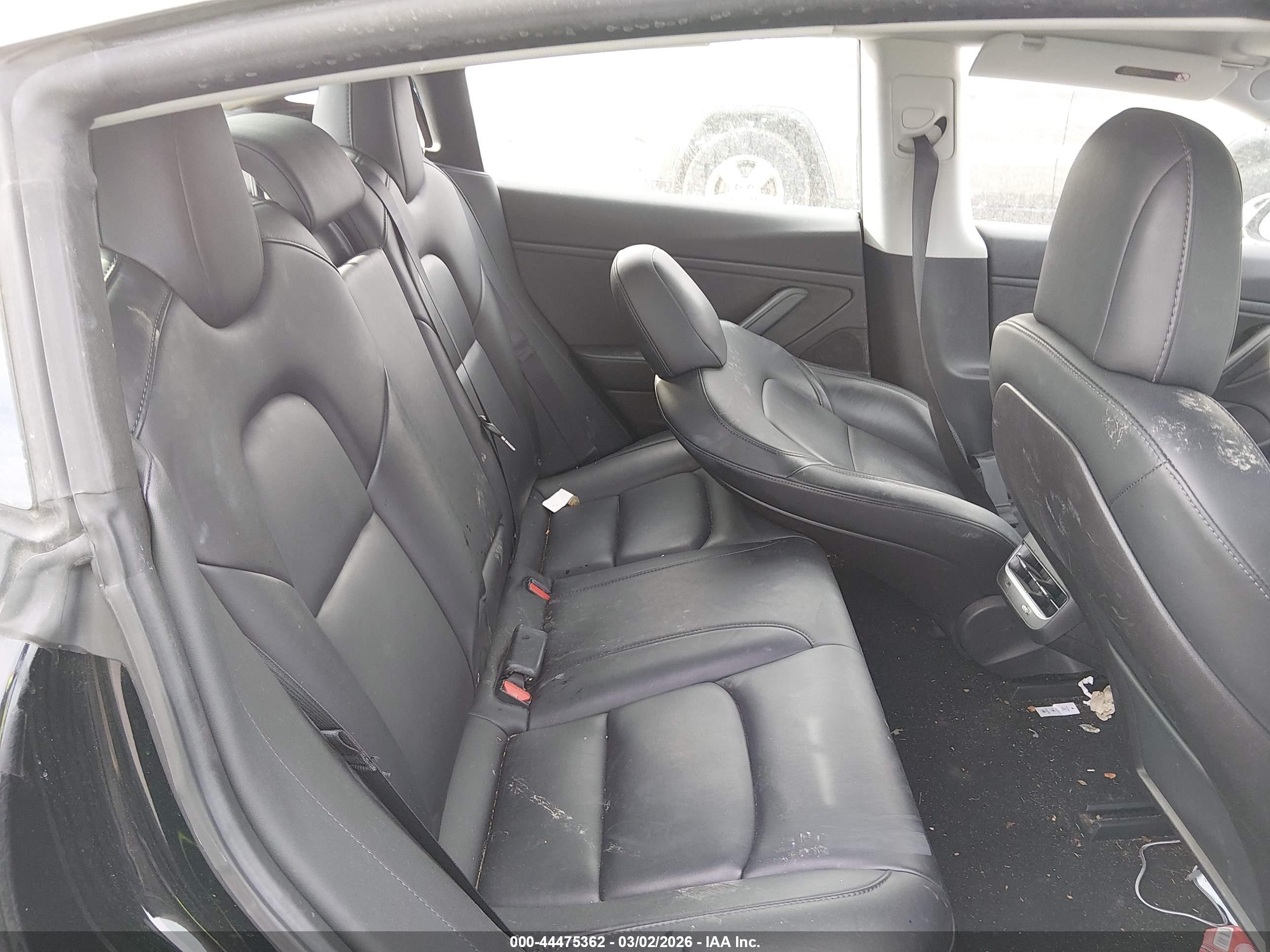 TESLA MODEL image 8
