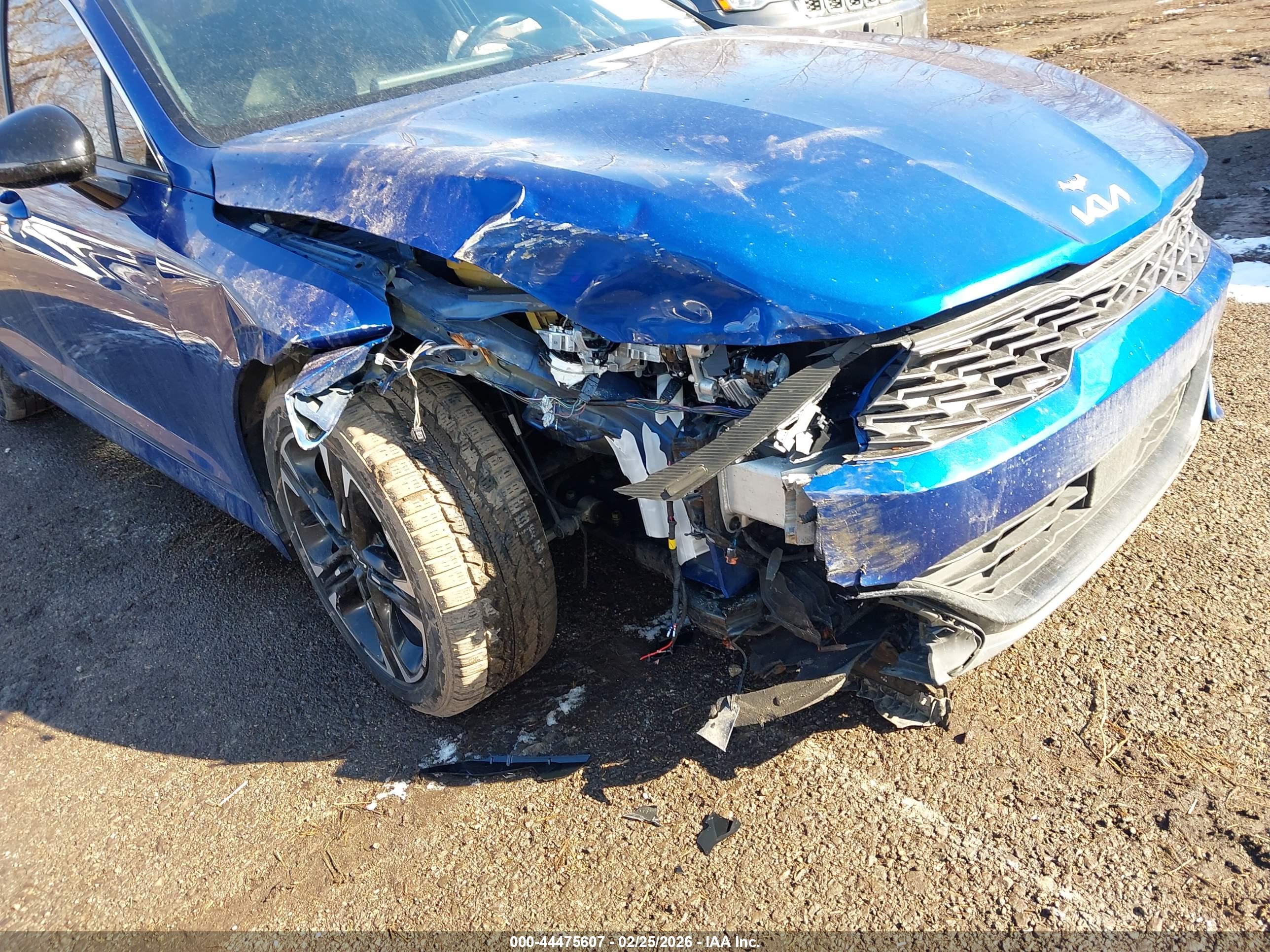 KIA K5 image 6