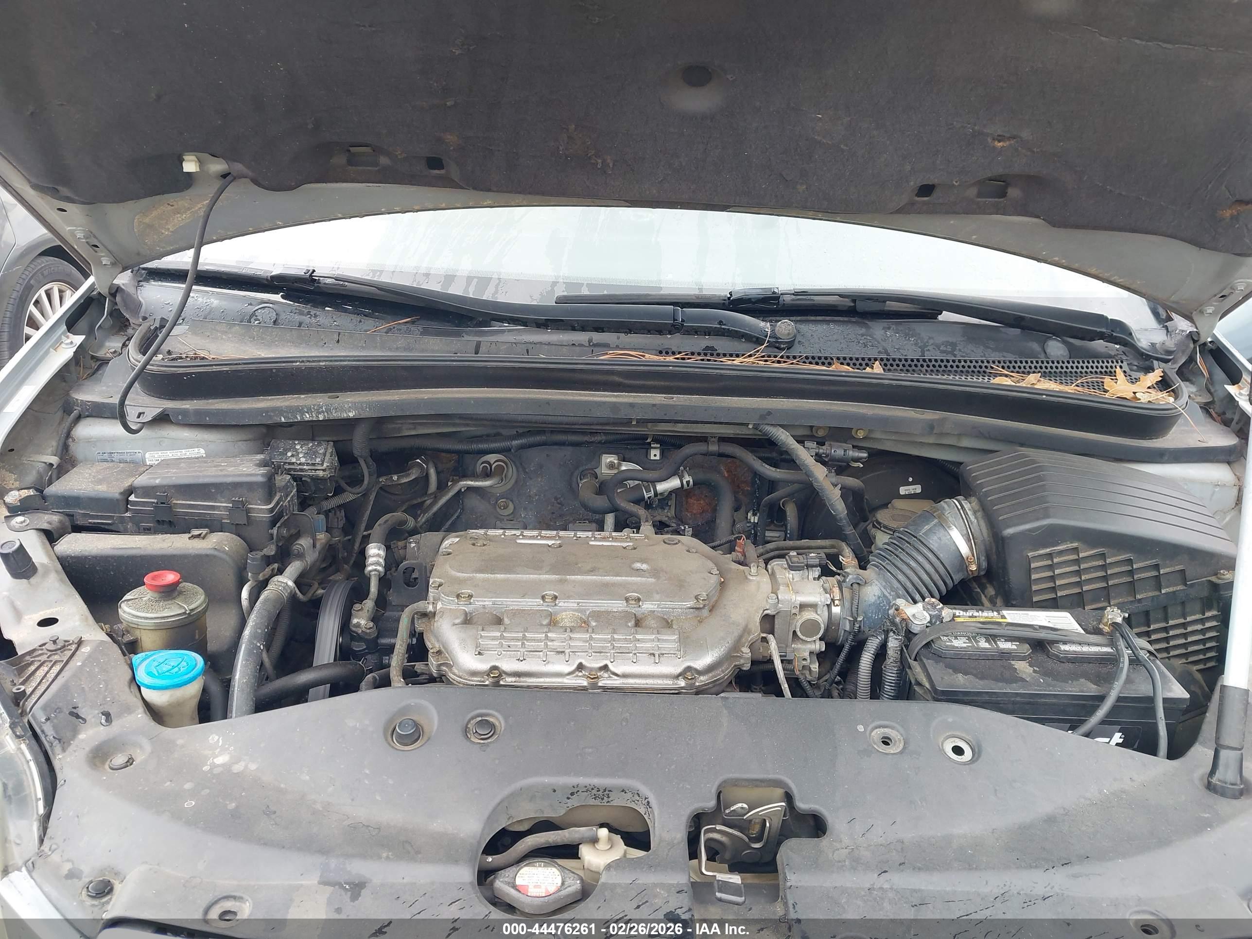 HONDA ODYSSEY image 10