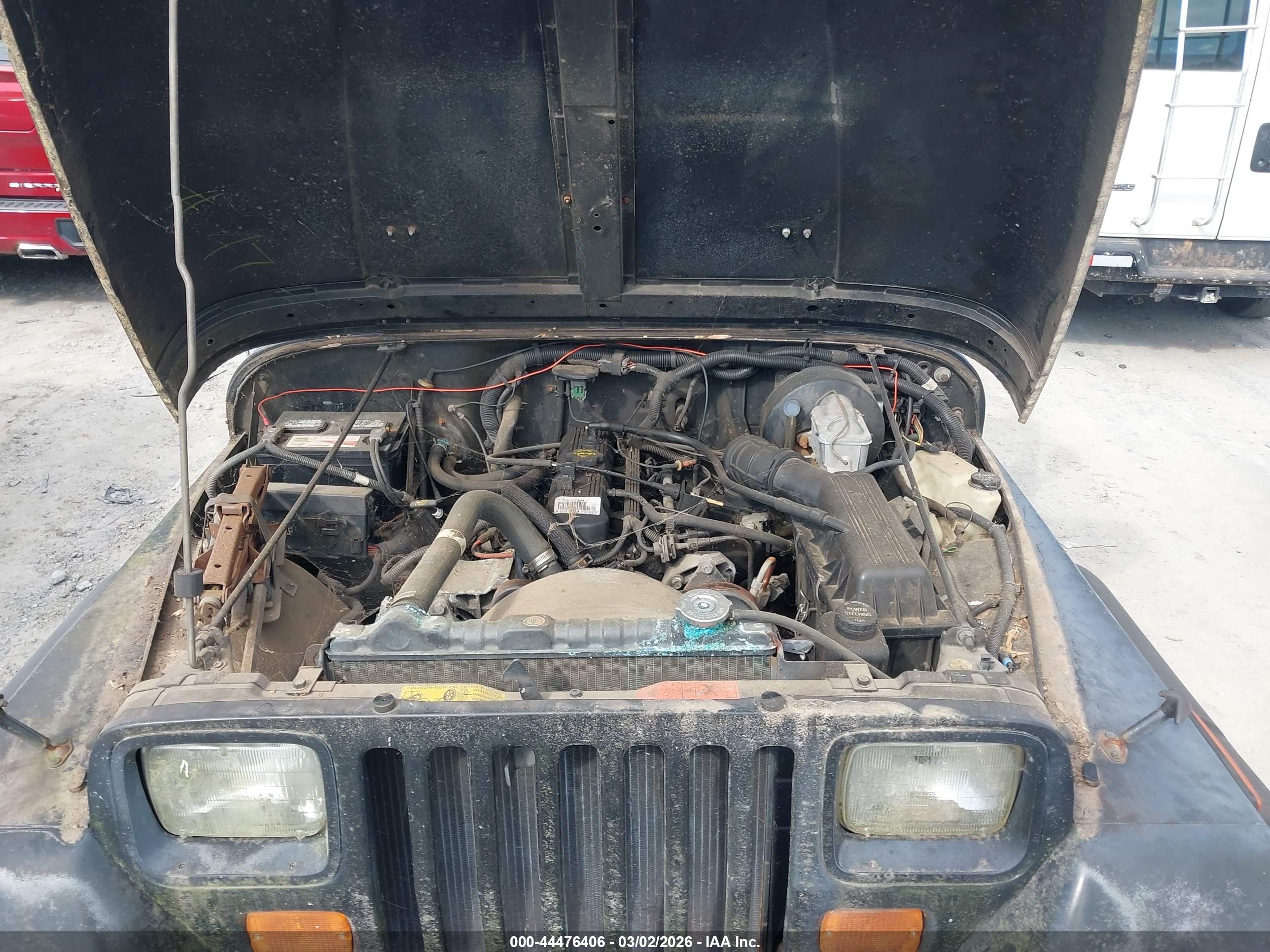 JEEP WRANGLER image 10