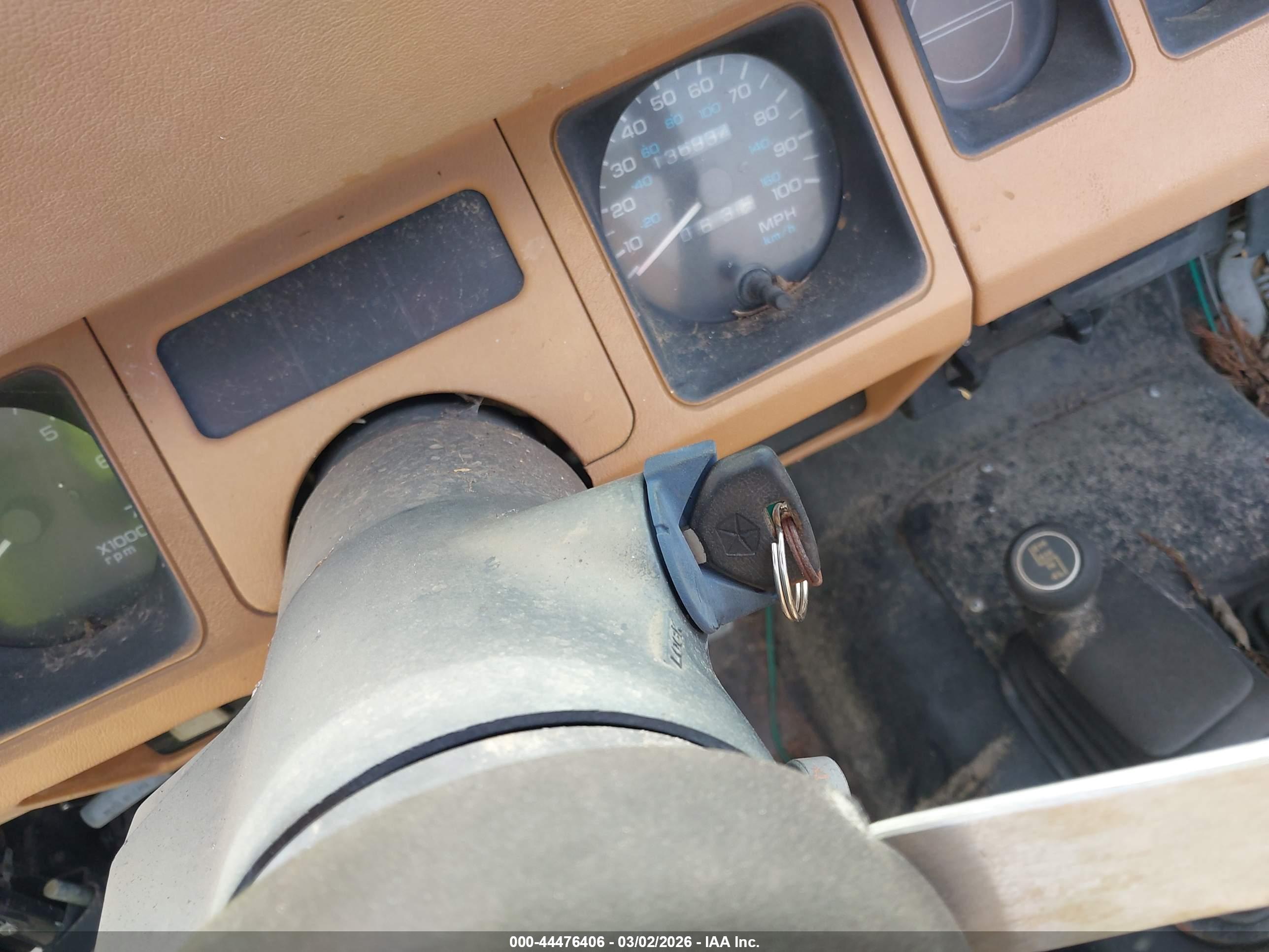 JEEP WRANGLER image 11