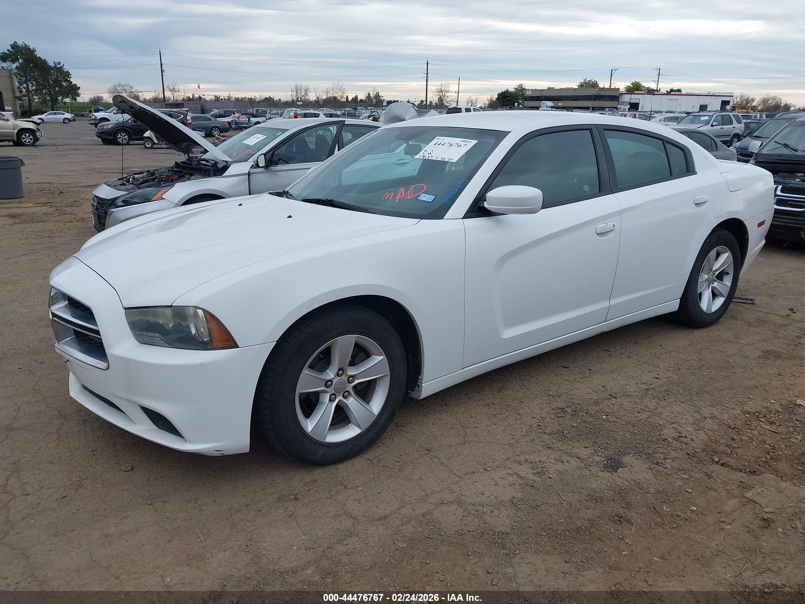 DODGE CHARGER image 2