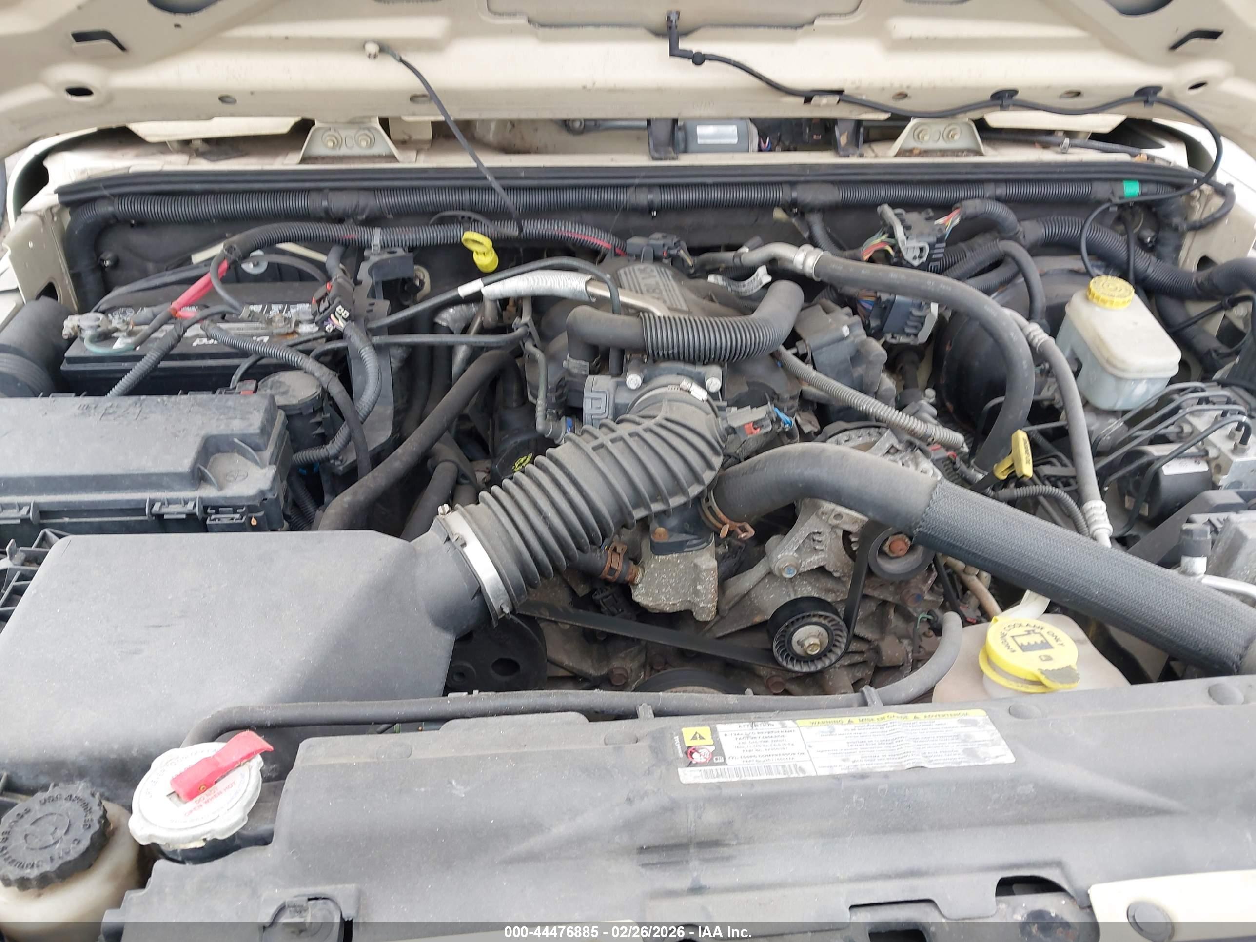 JEEP WRANGLER image 10