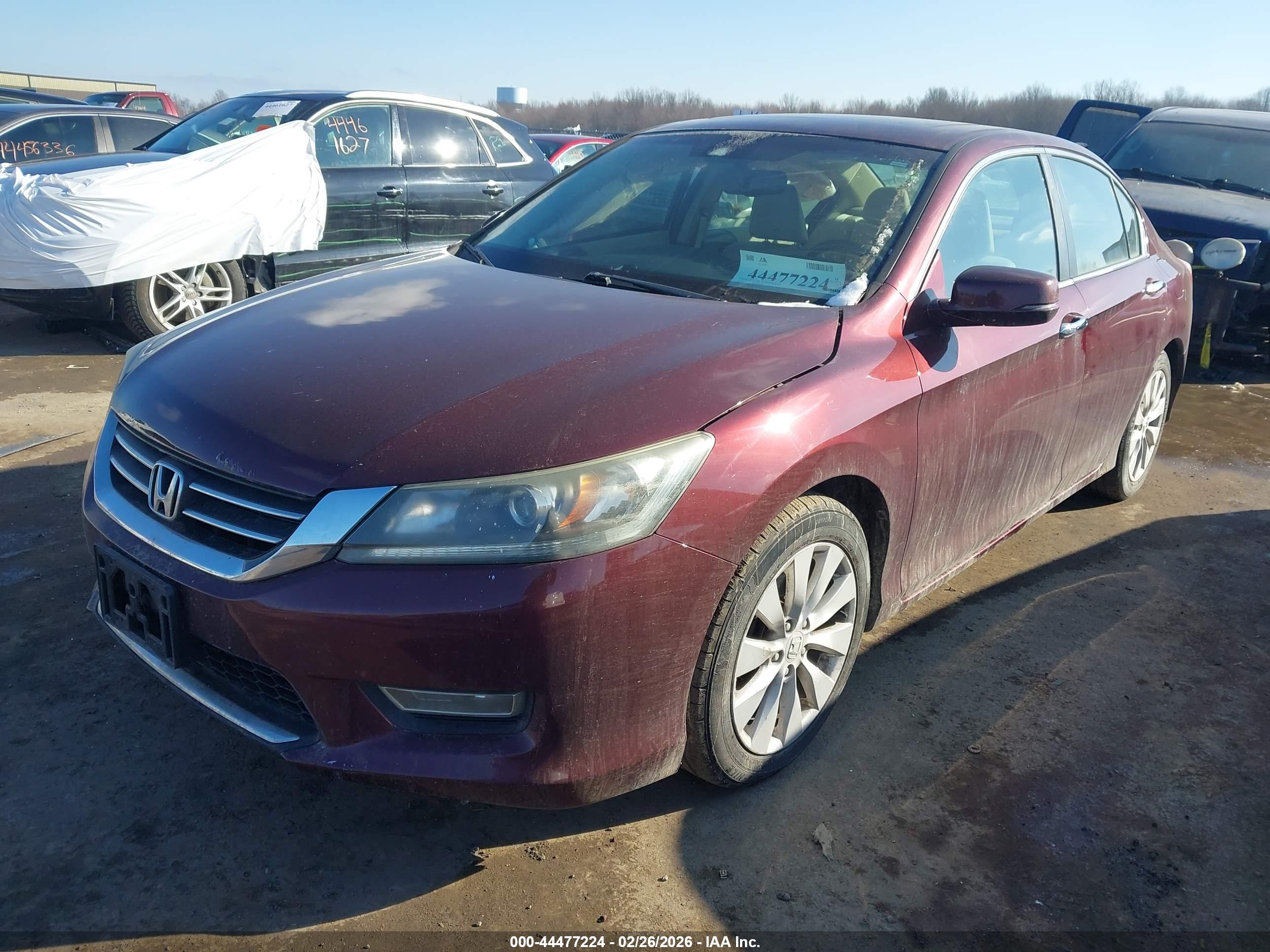 HONDA ACCORD image 2