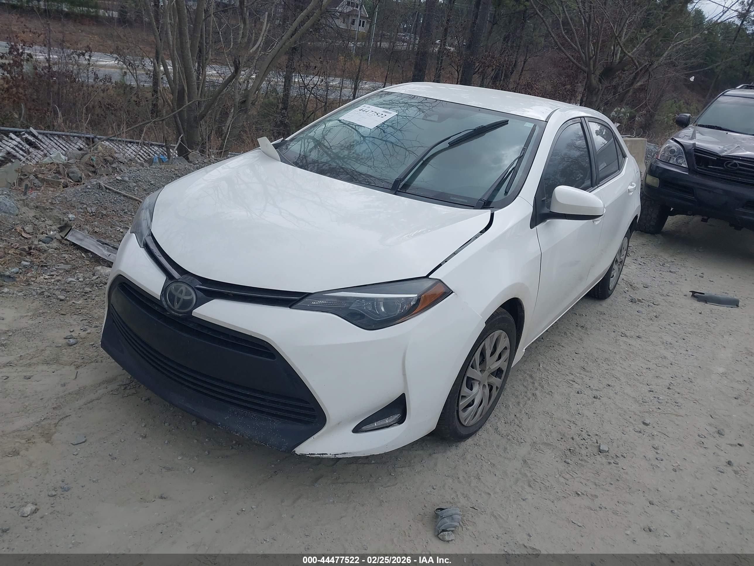 TOYOTA COROLLA image 2