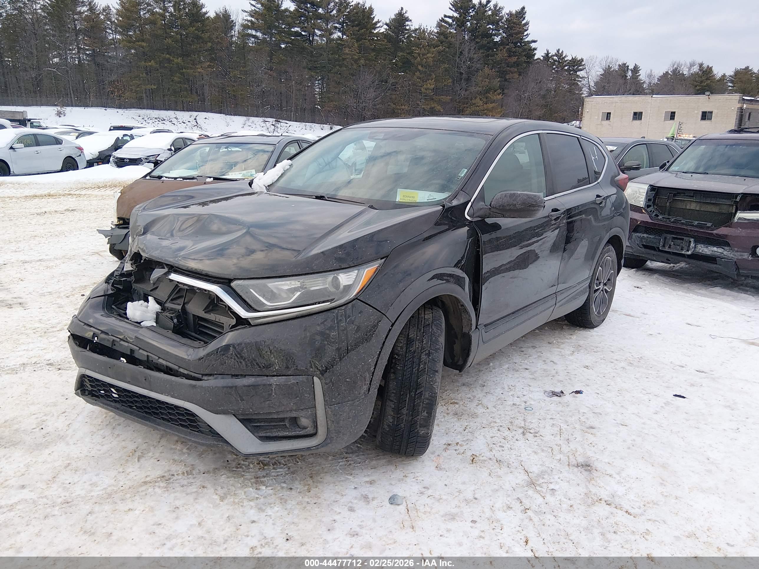 HONDA CR-V image 2
