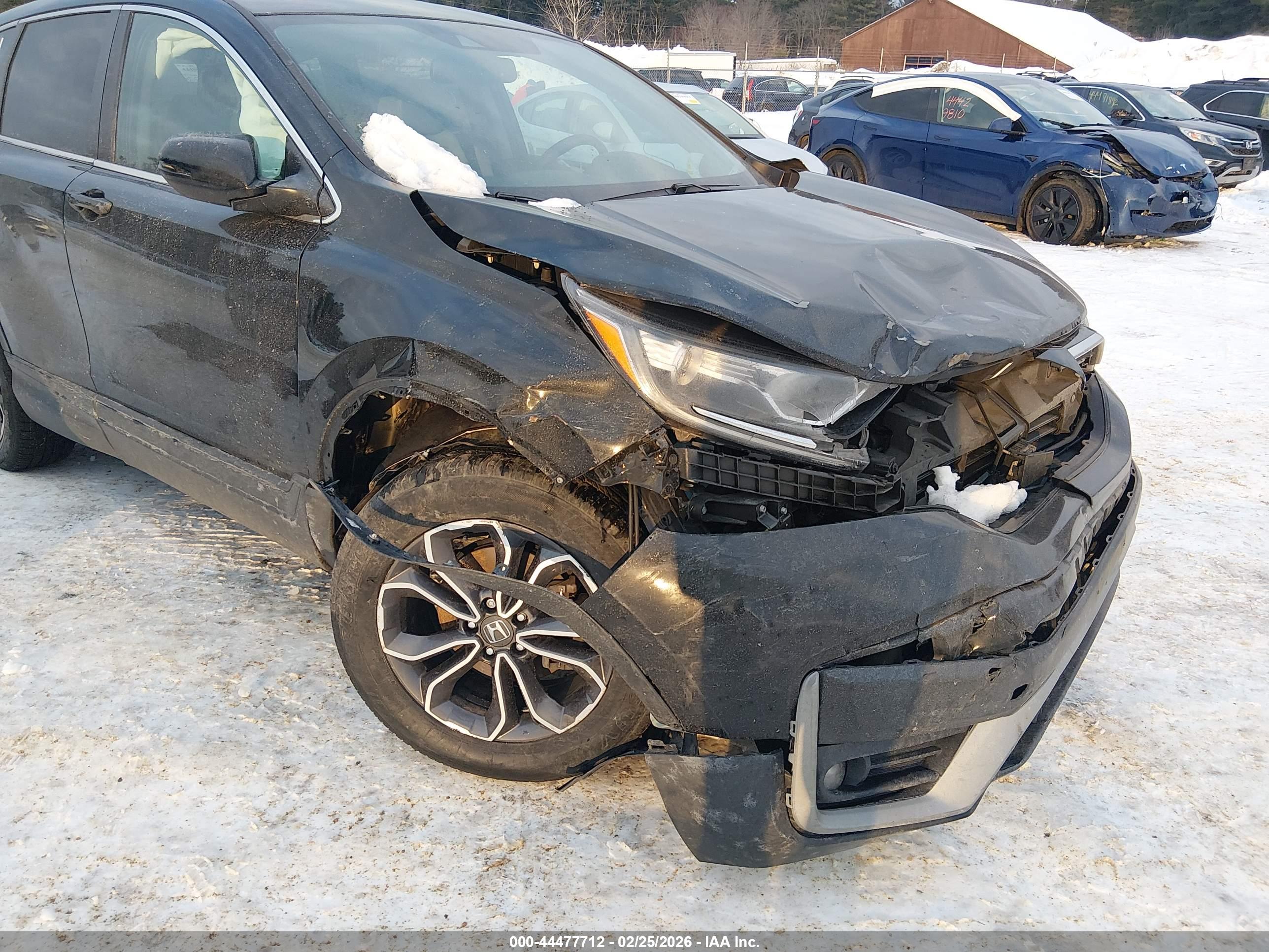 HONDA CR-V image 6