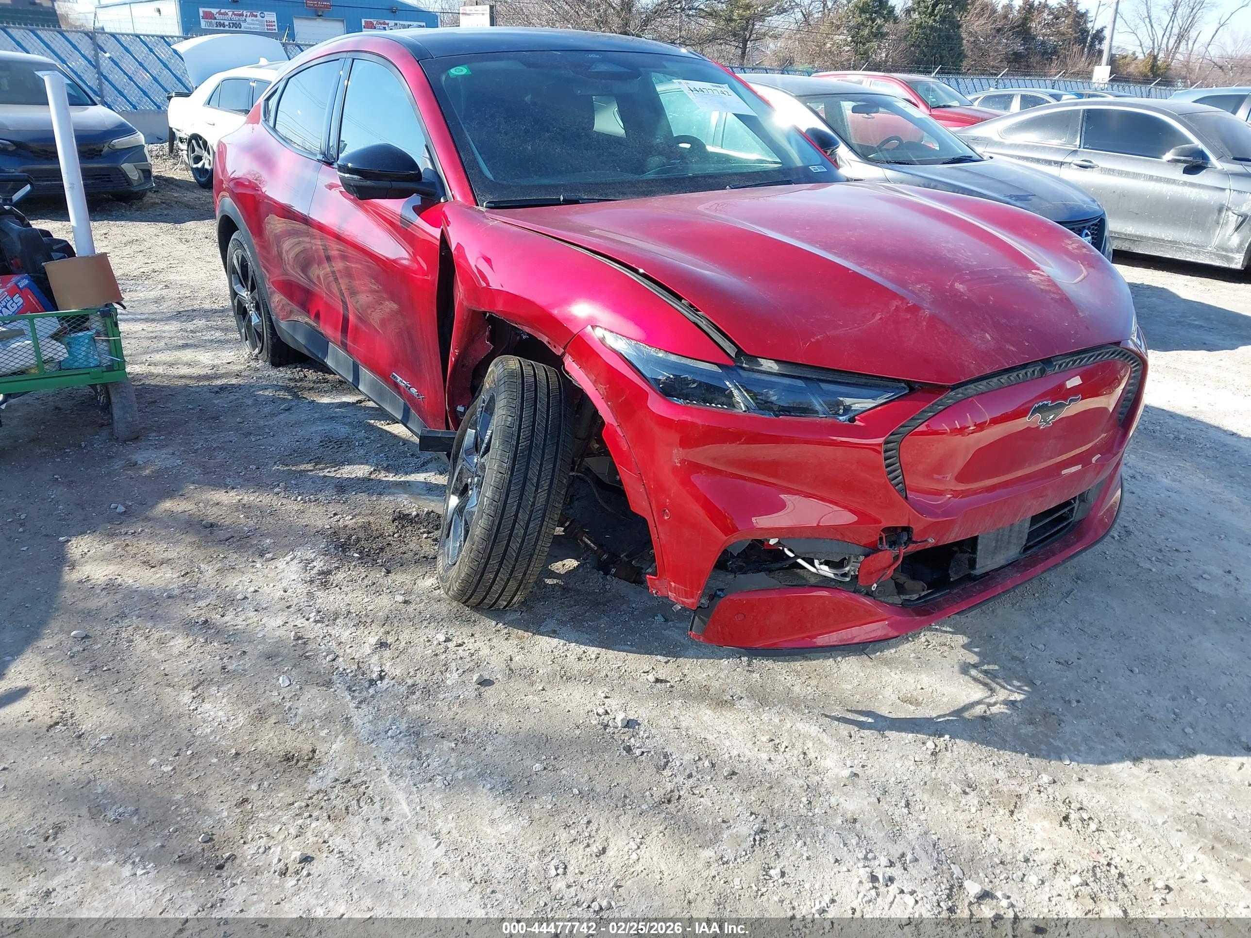 FORD MUSTANG image 6