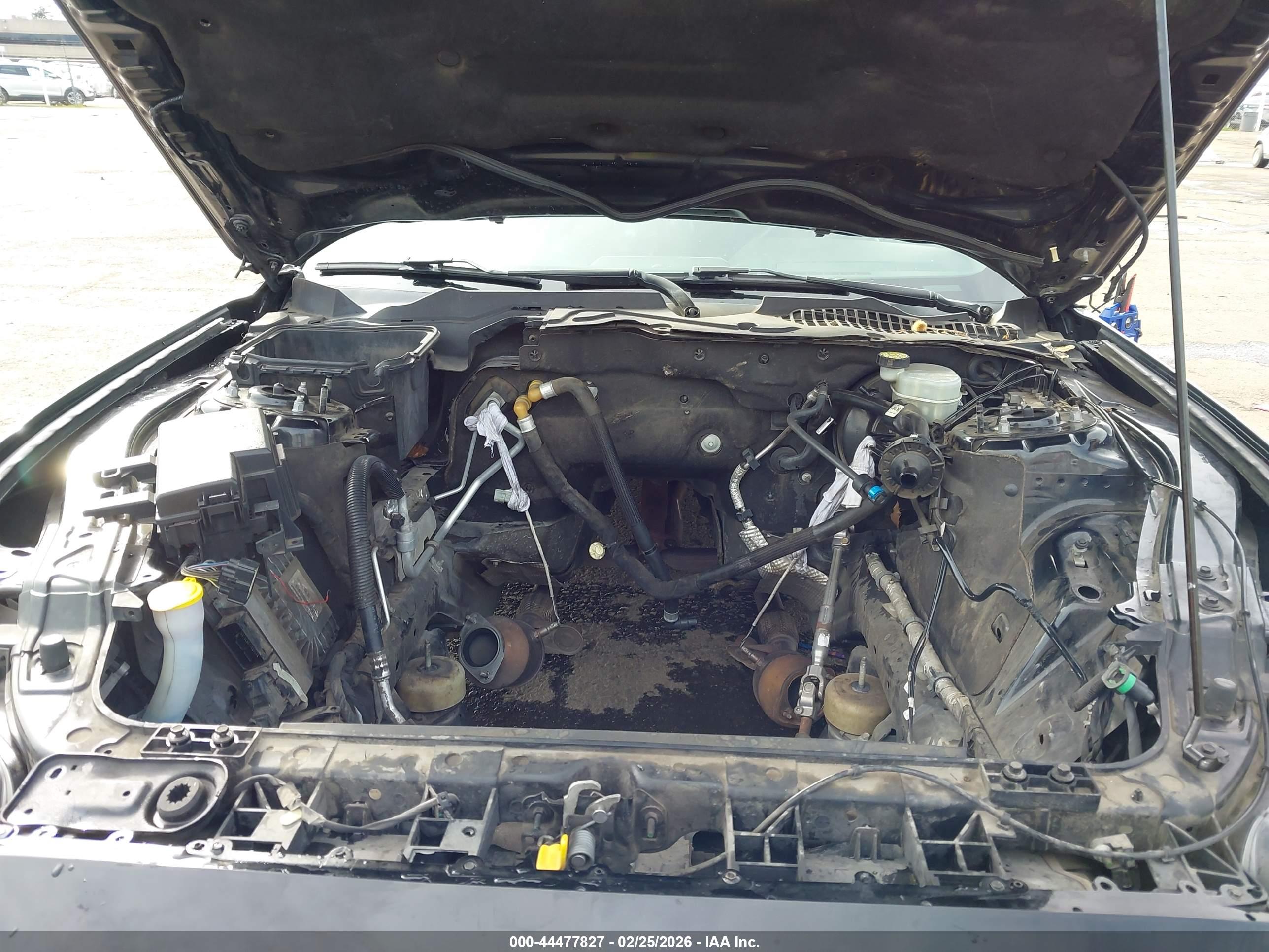 FORD MUSTANG image 10