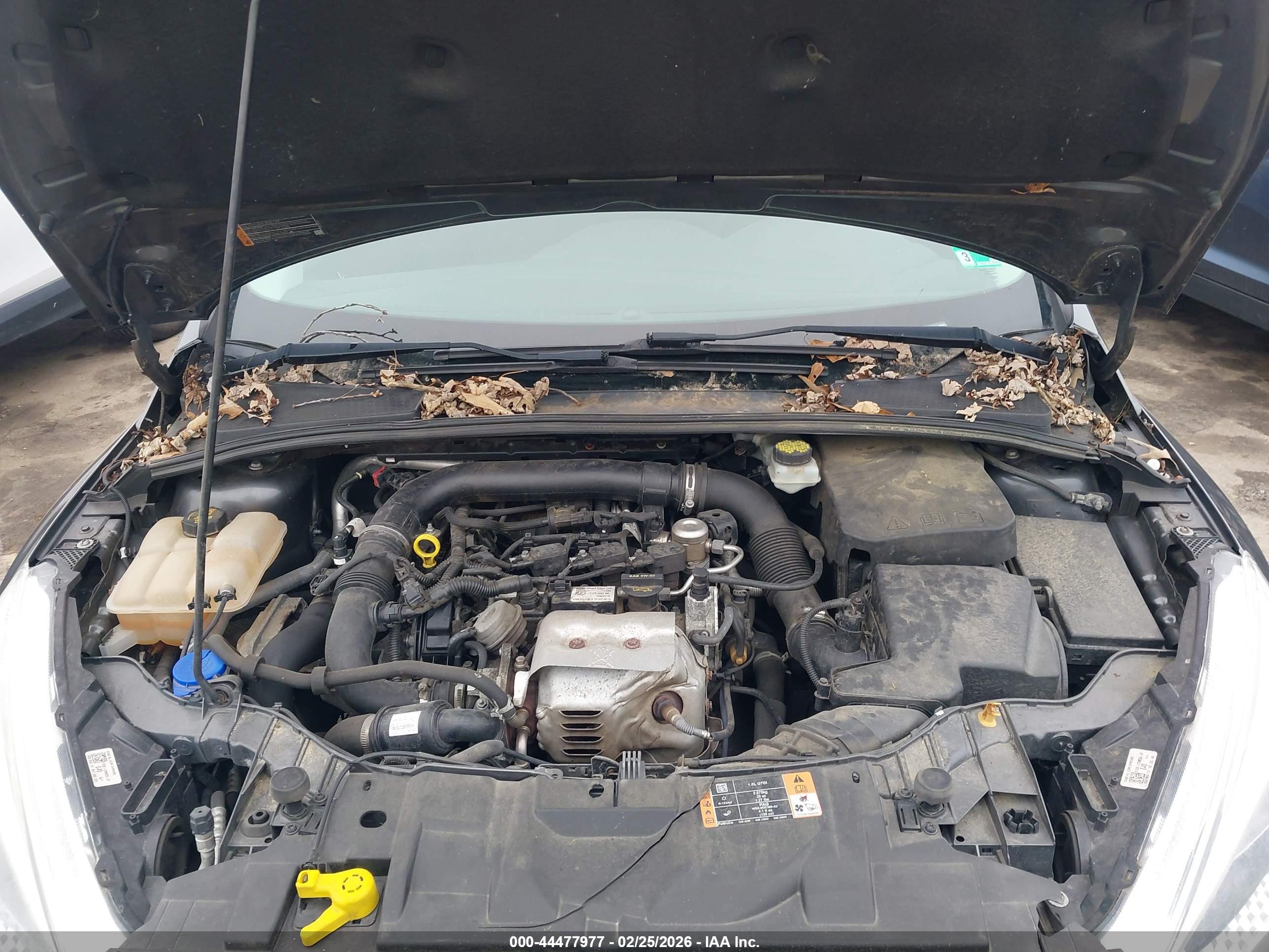 FORD FOCUS image 10