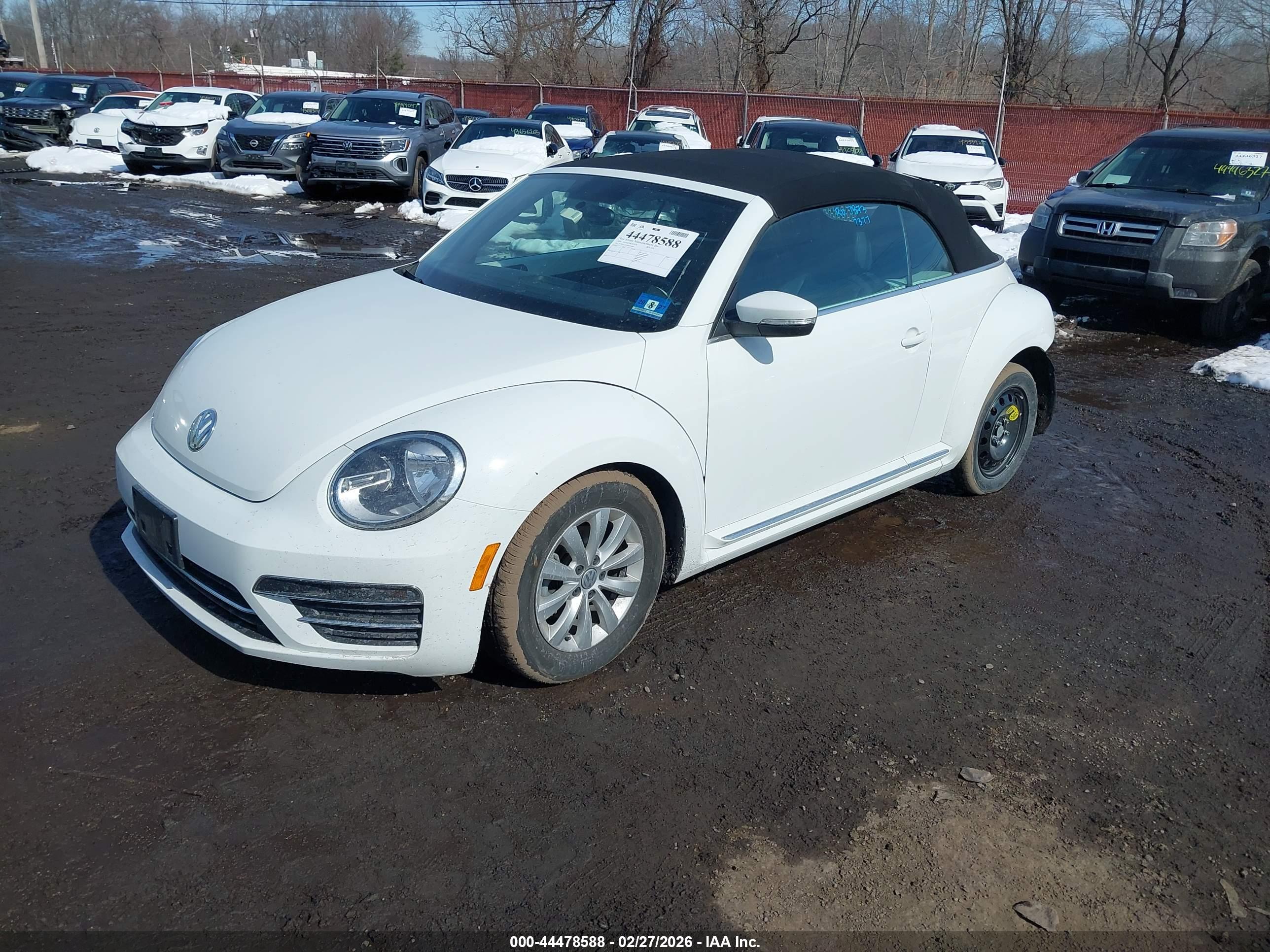 VOLKSWAGEN BEETLE image 2