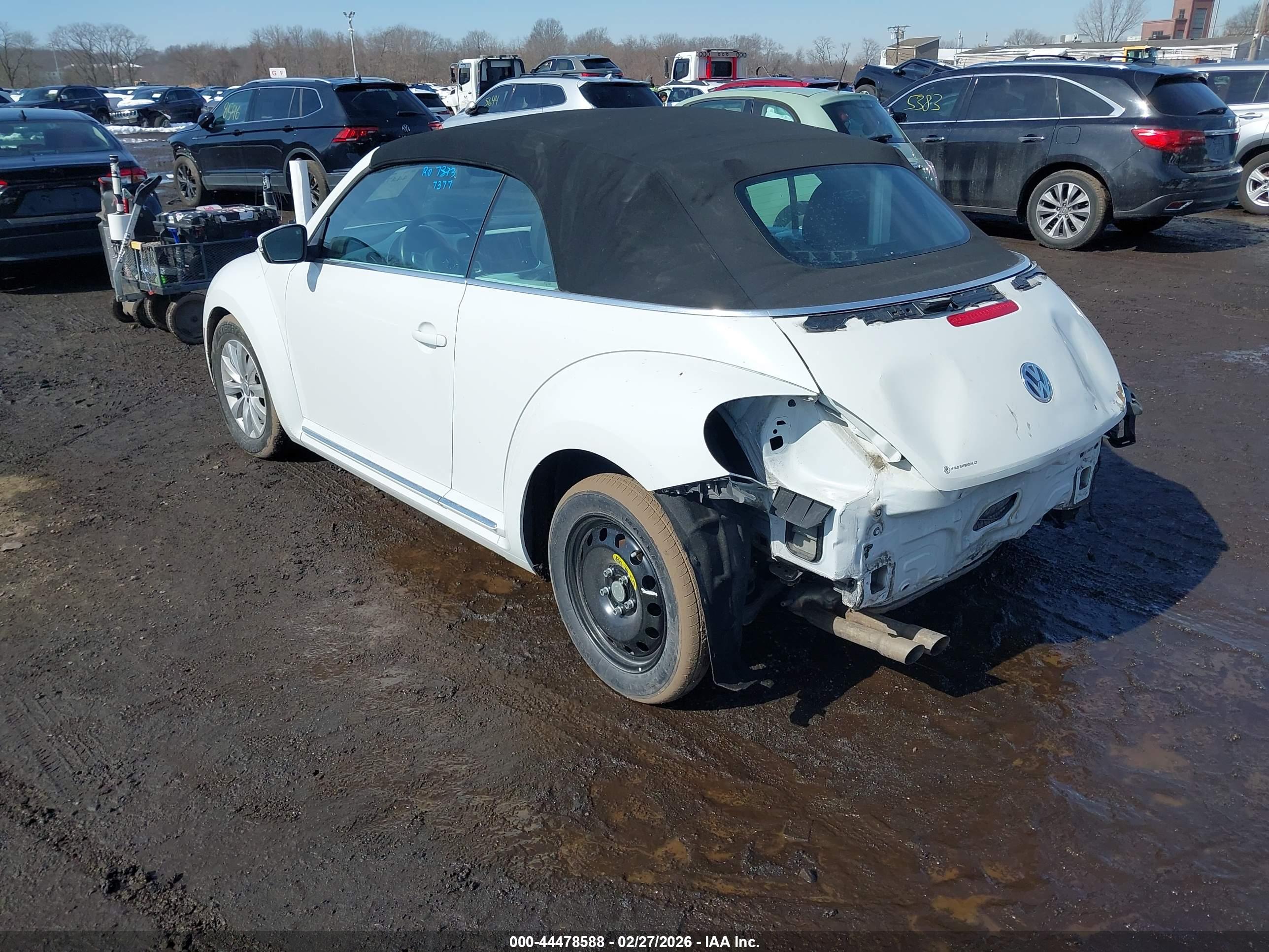 VOLKSWAGEN BEETLE image 3