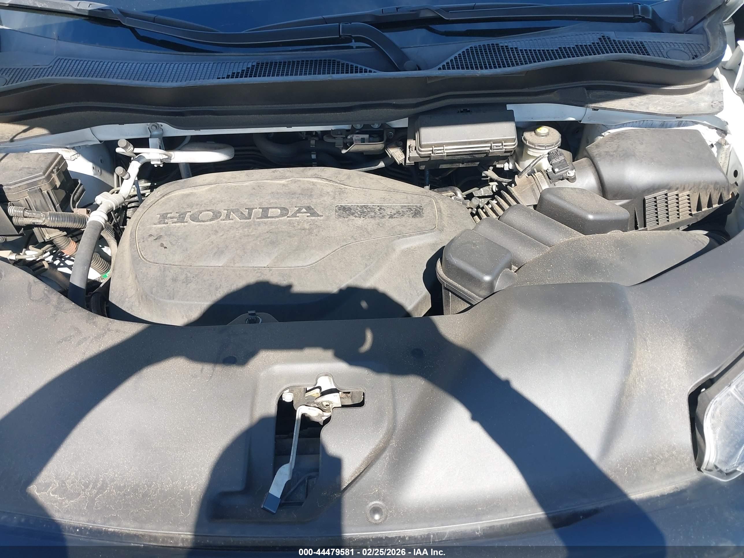 HONDA PASSPORT image 10