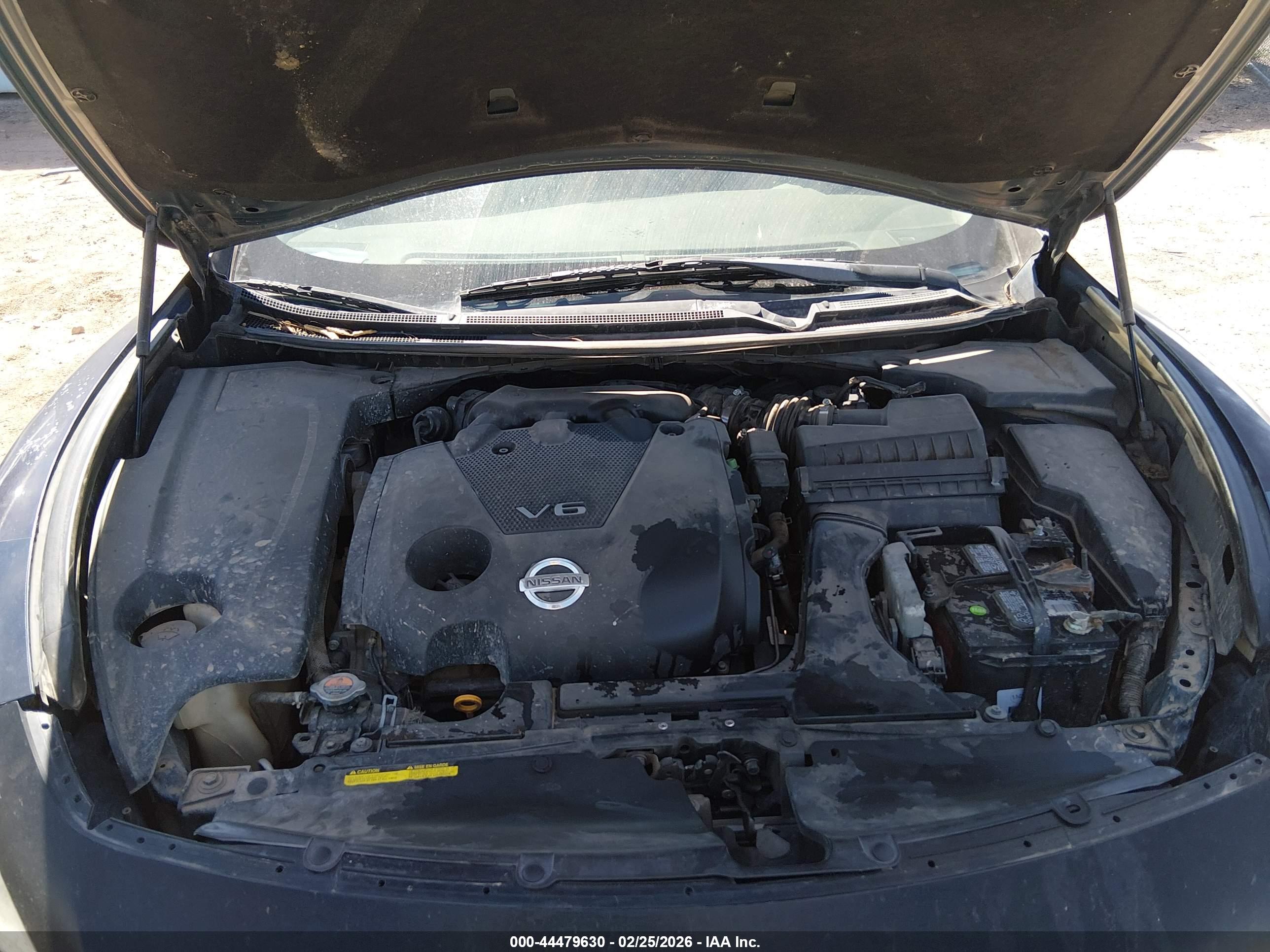 NISSAN MAXIMA image 10