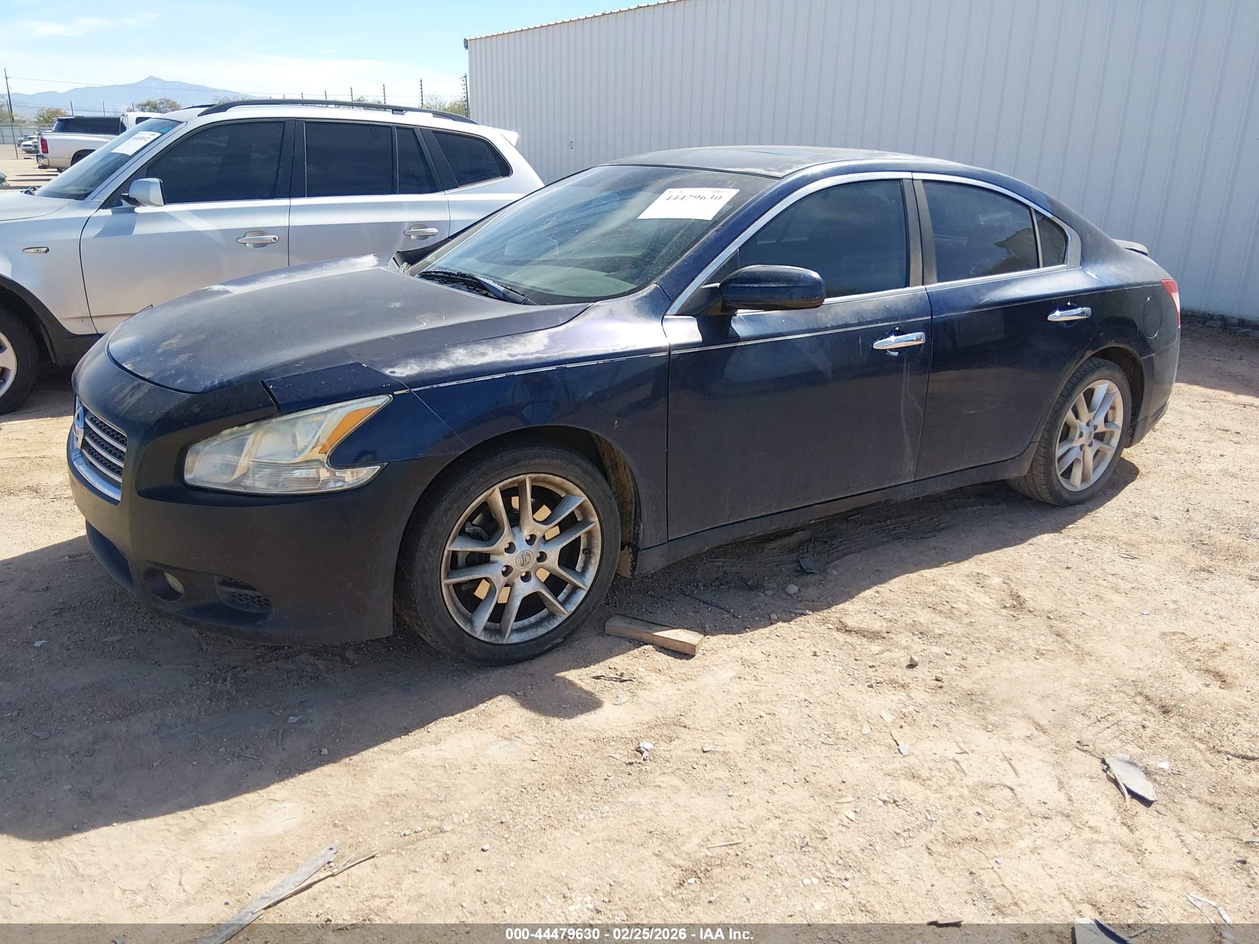 NISSAN MAXIMA image 2