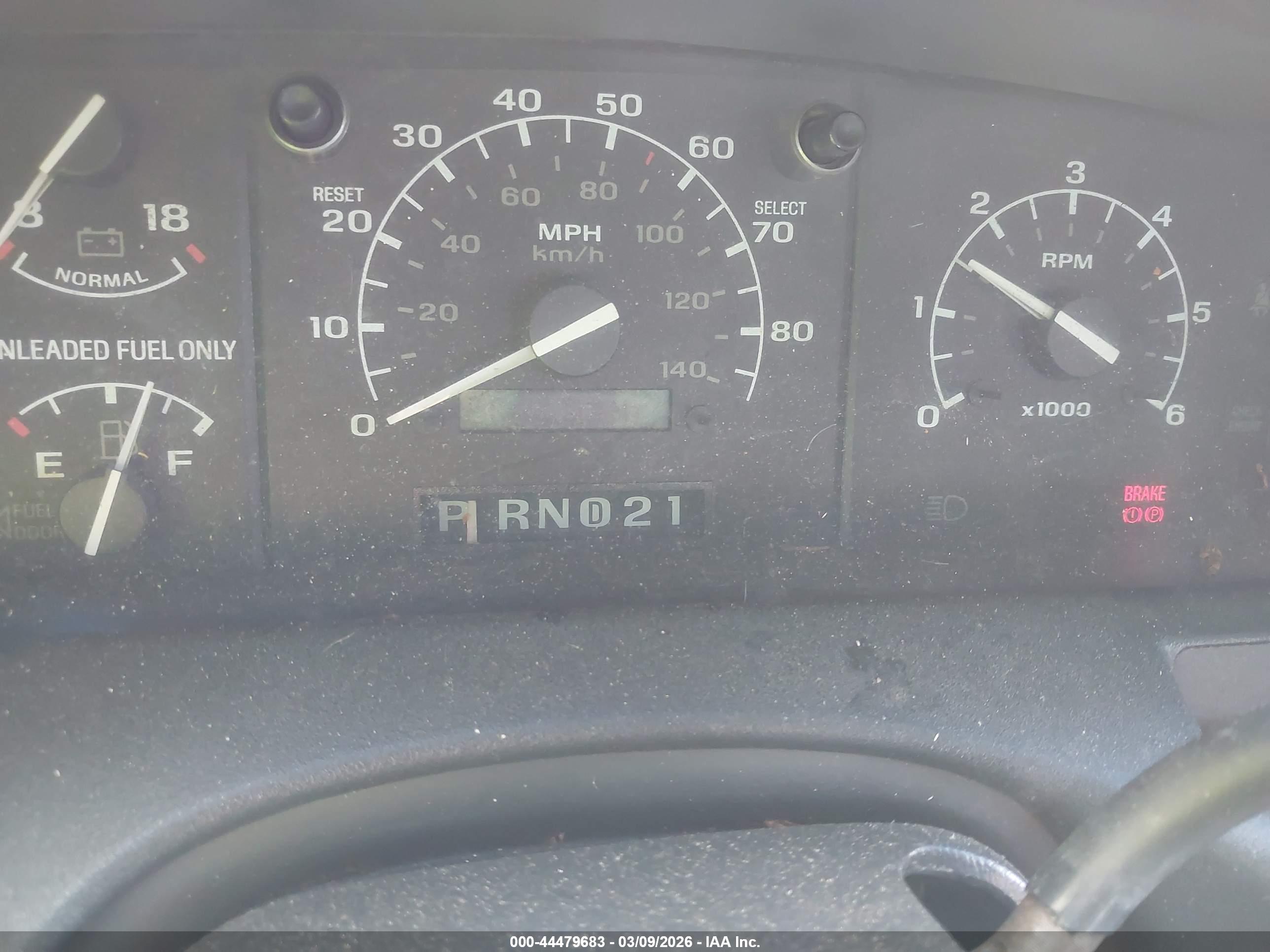 FORD BRONCO image 7