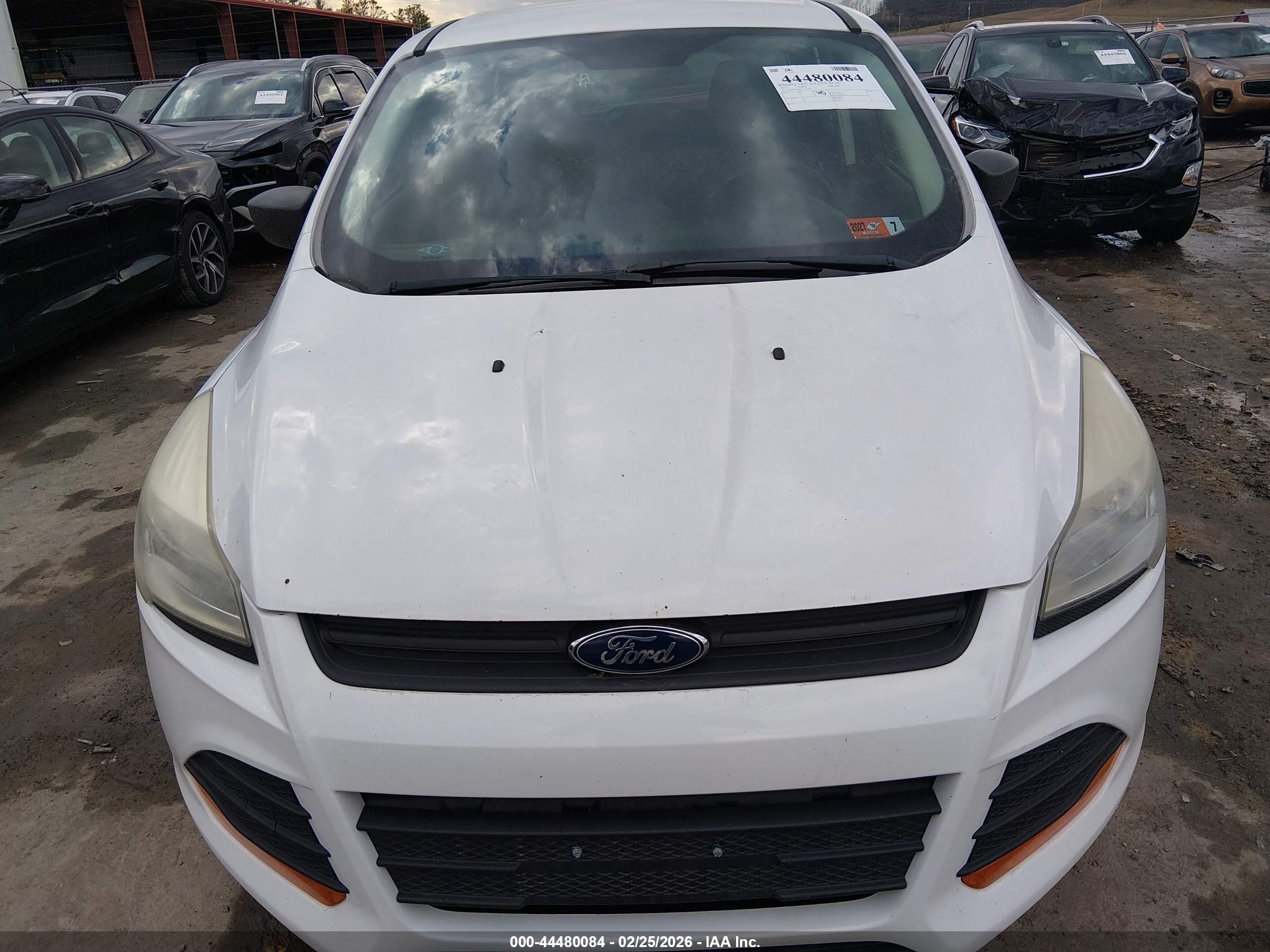 FORD ESCAPE image 6