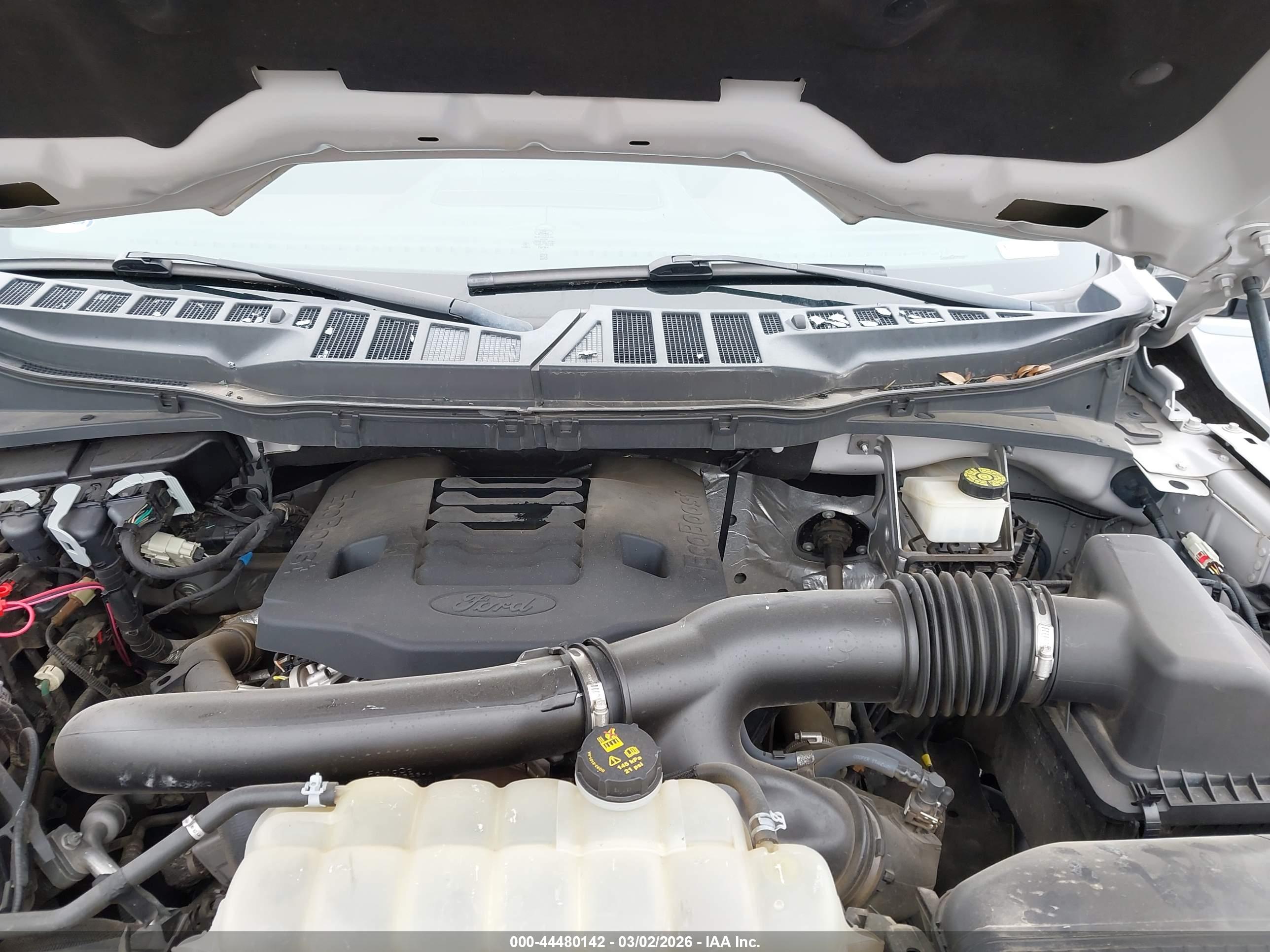 FORD F-150 image 10