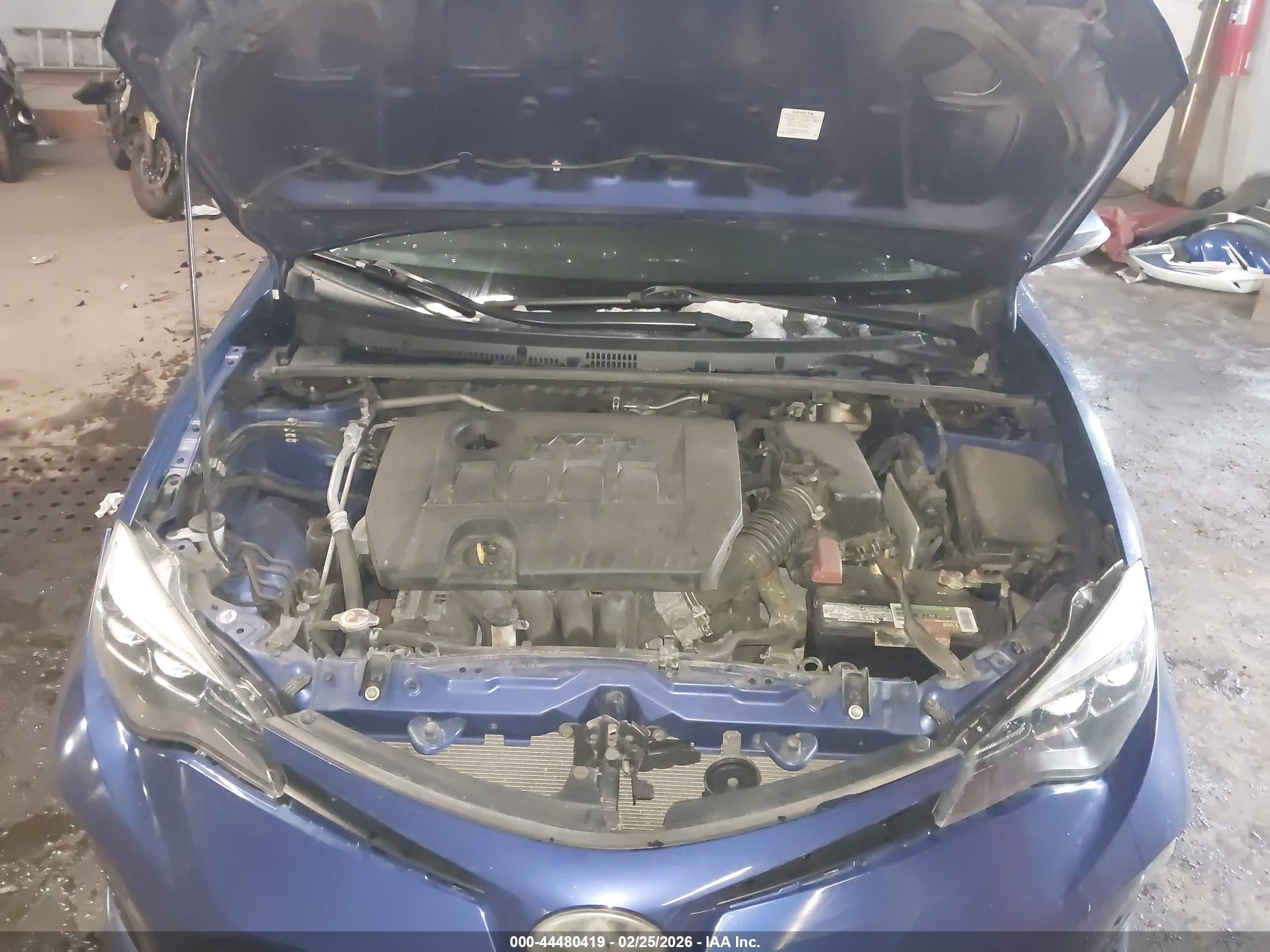 TOYOTA COROLLA image 10