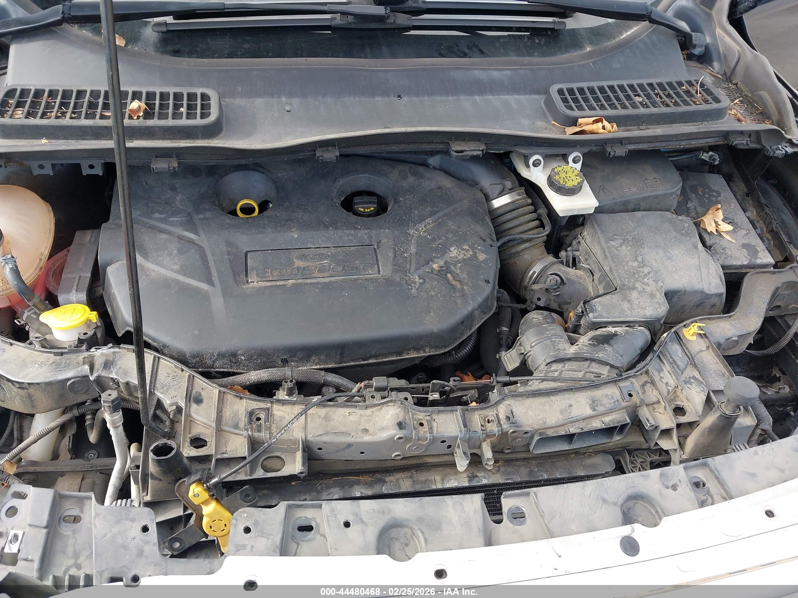 FORD ESCAPE image 10