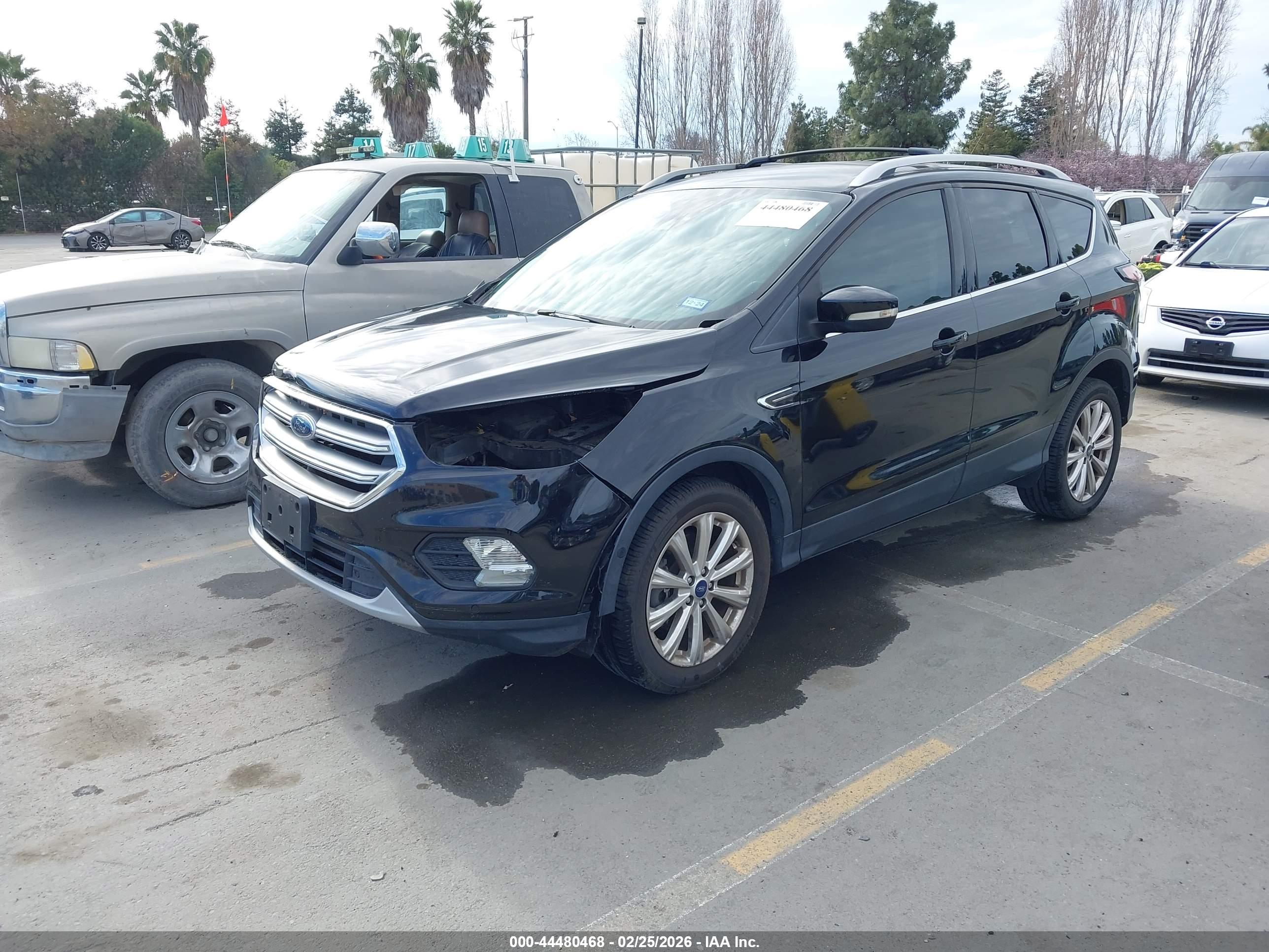 FORD ESCAPE image 2