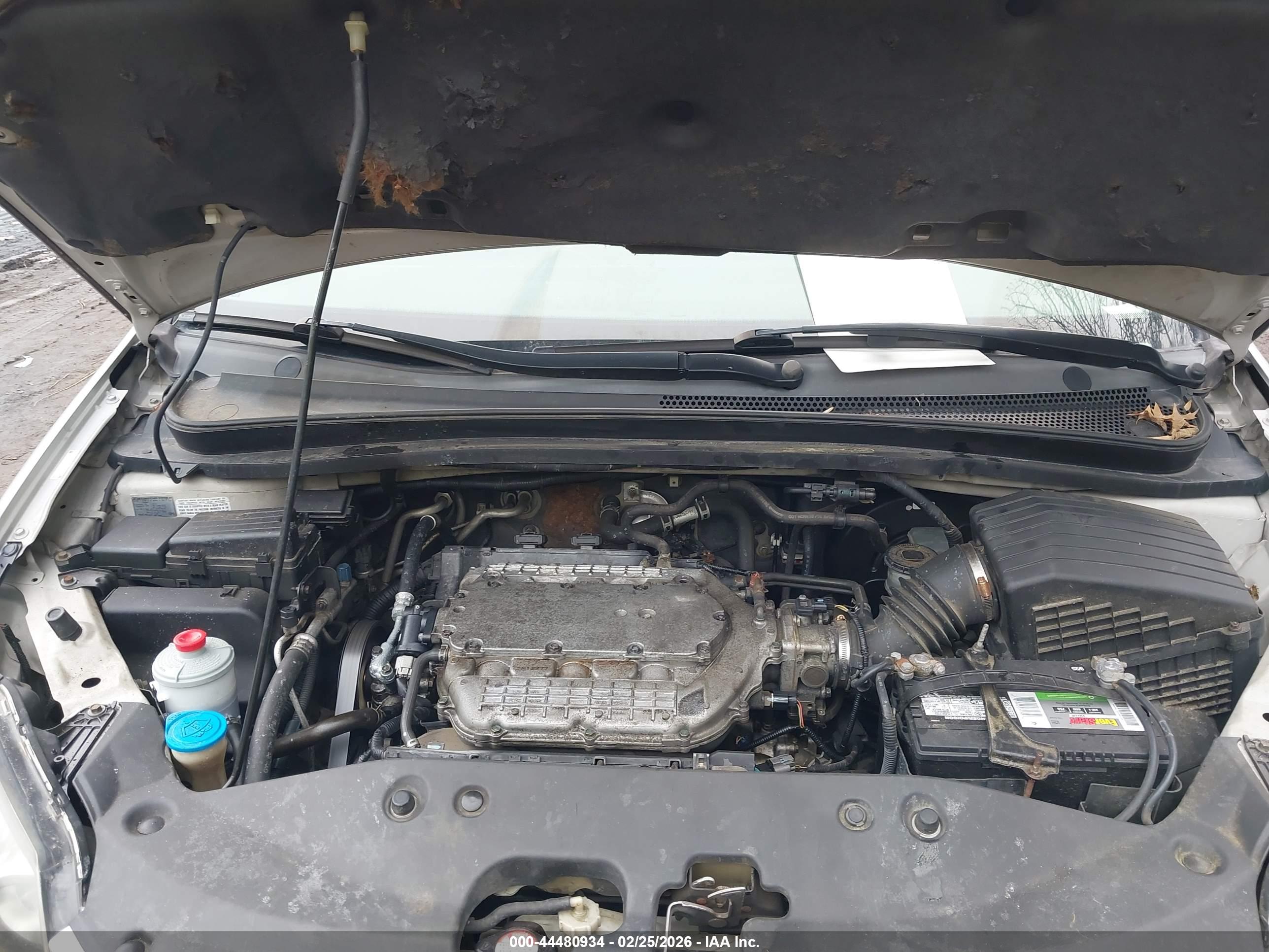 HONDA ODYSSEY image 10