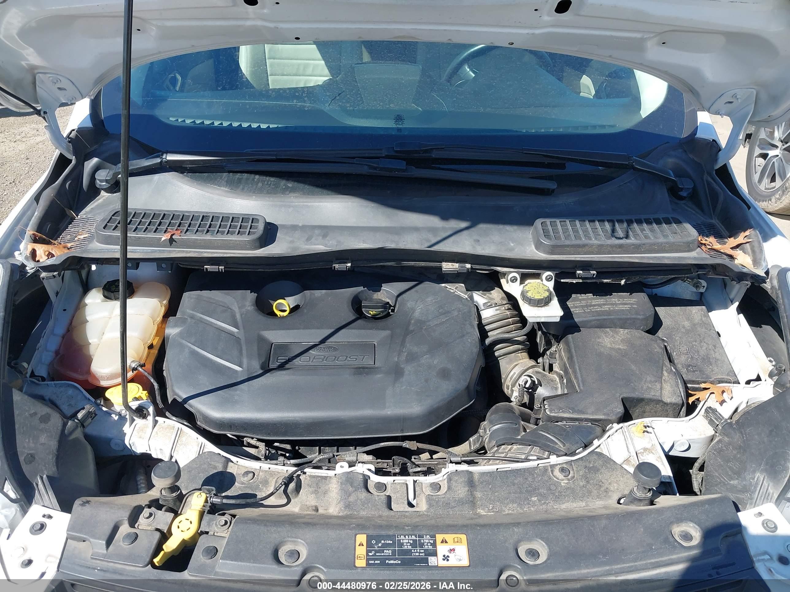 FORD ESCAPE image 10