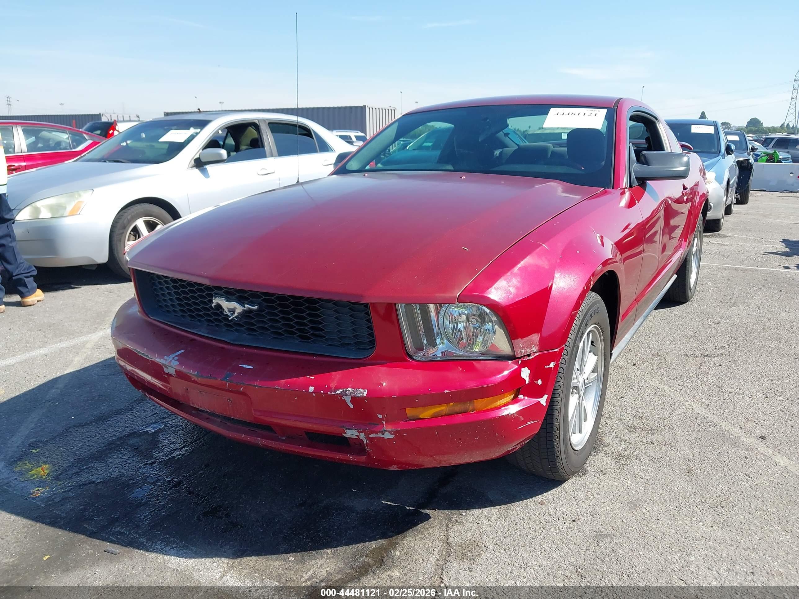 FORD MUSTANG image 2