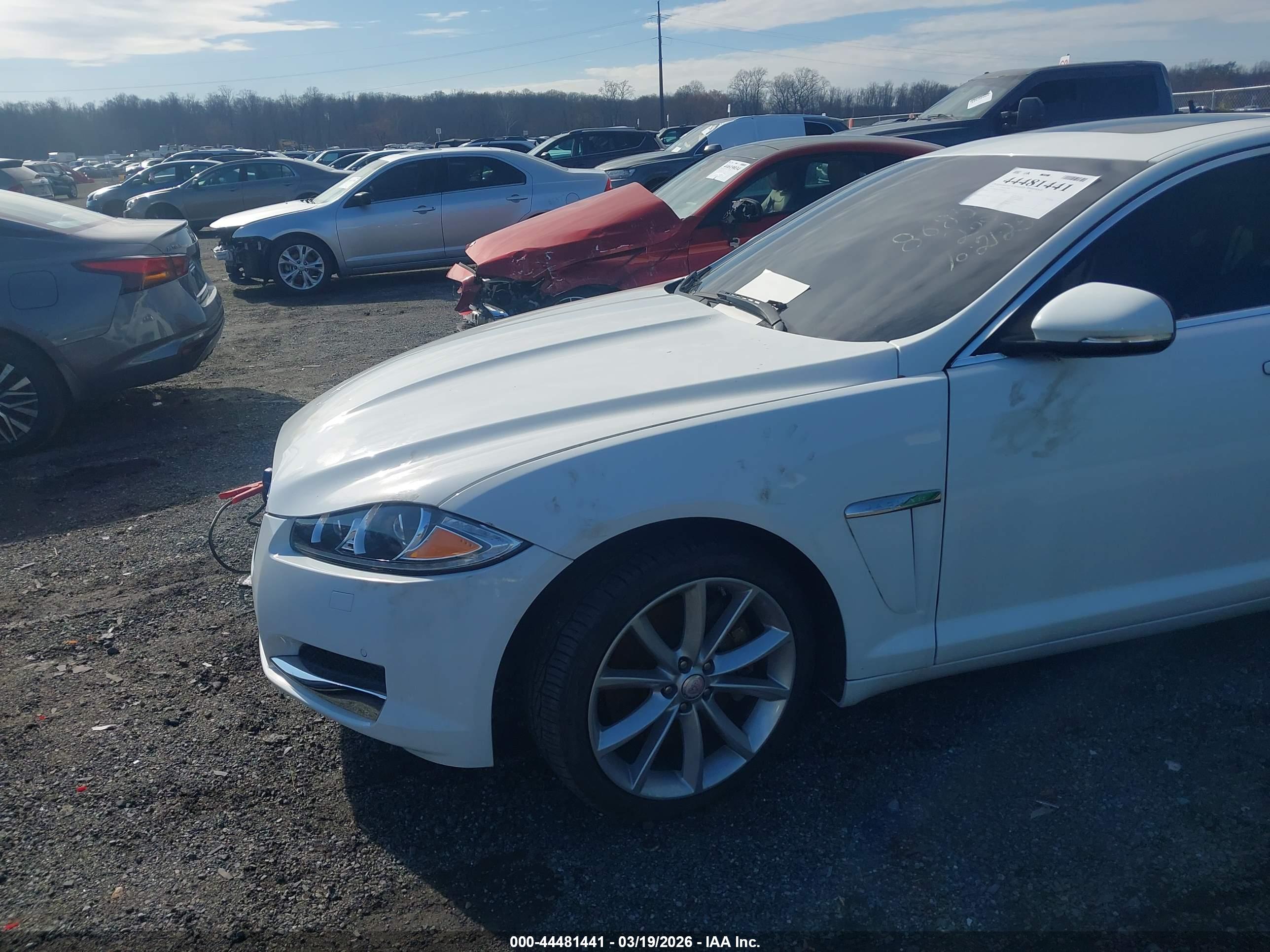 JAGUAR XF image 6