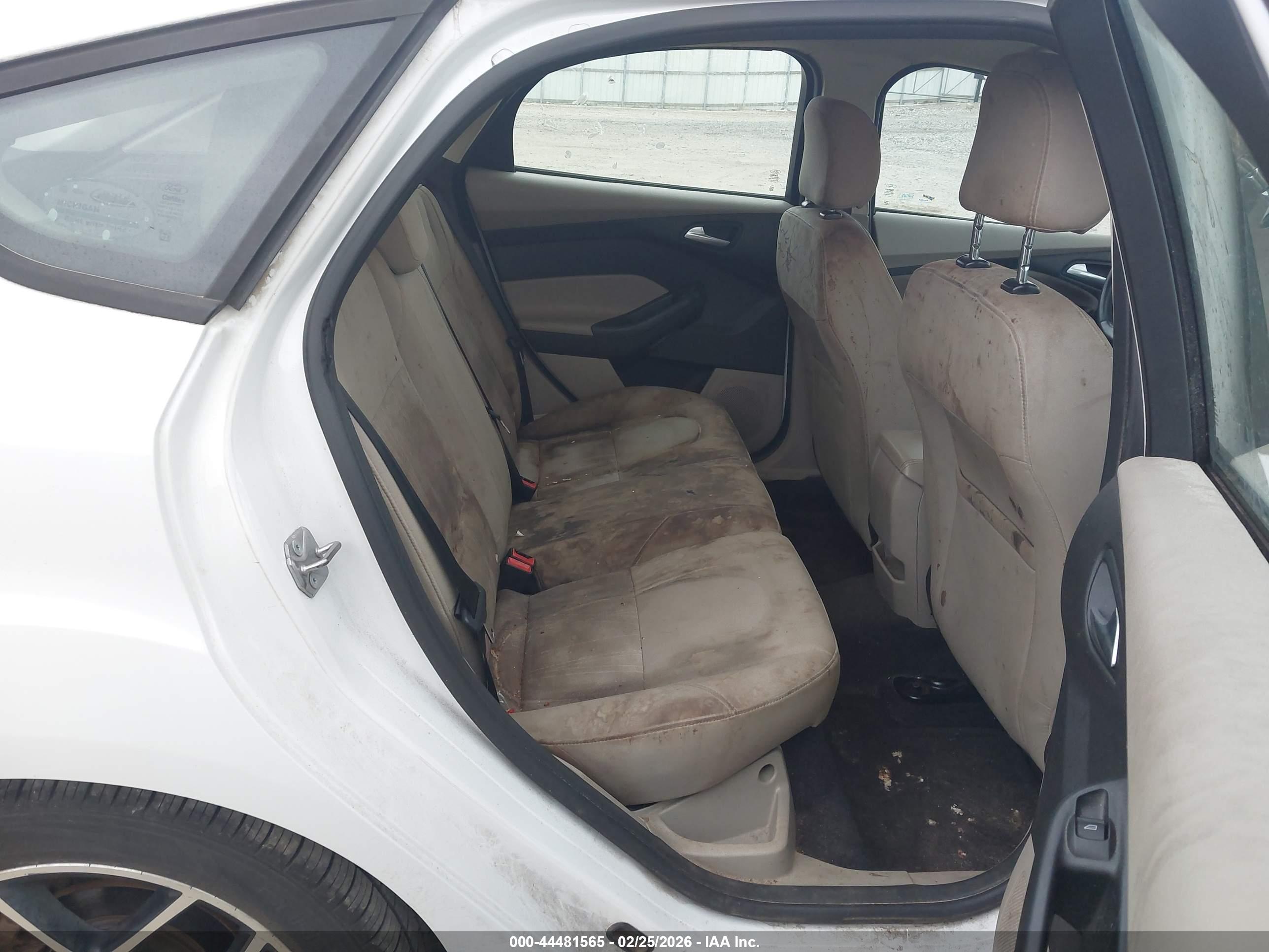 FORD FOCUS image 8